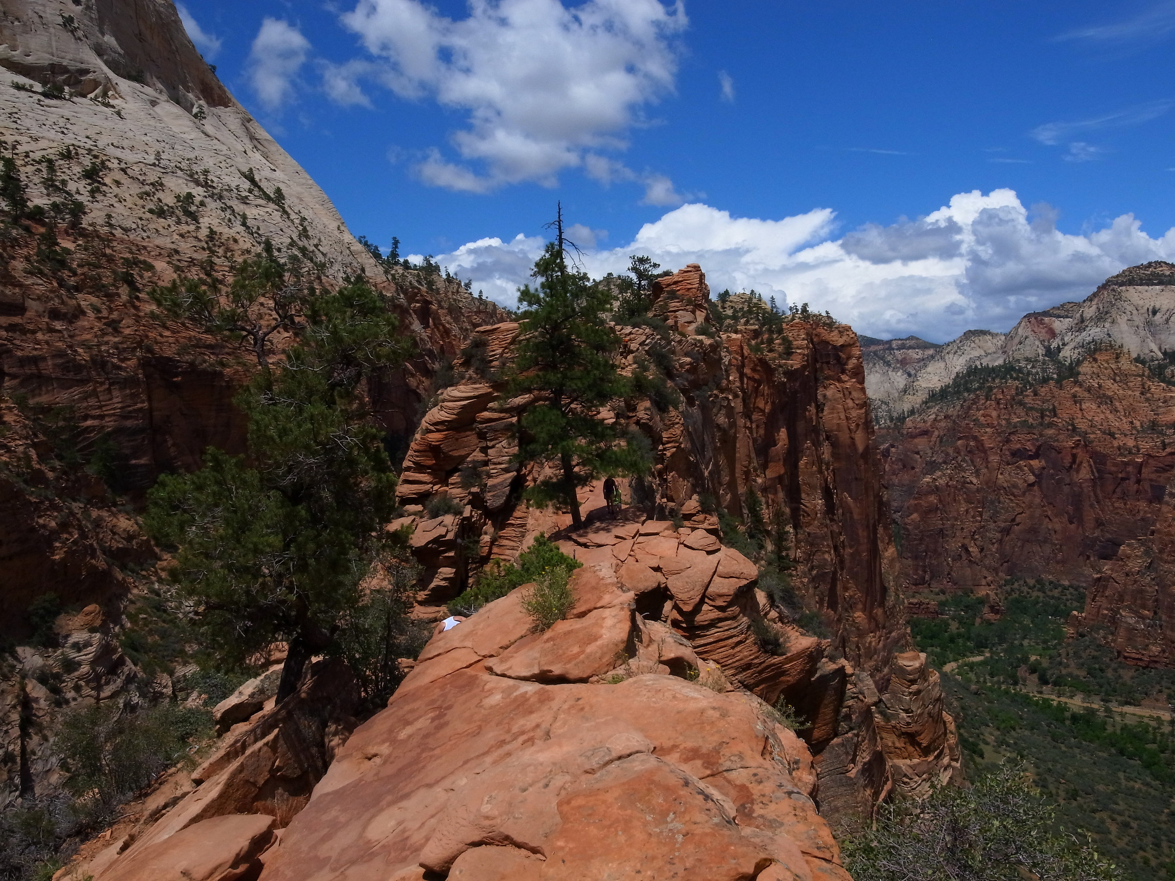 Zion National Park