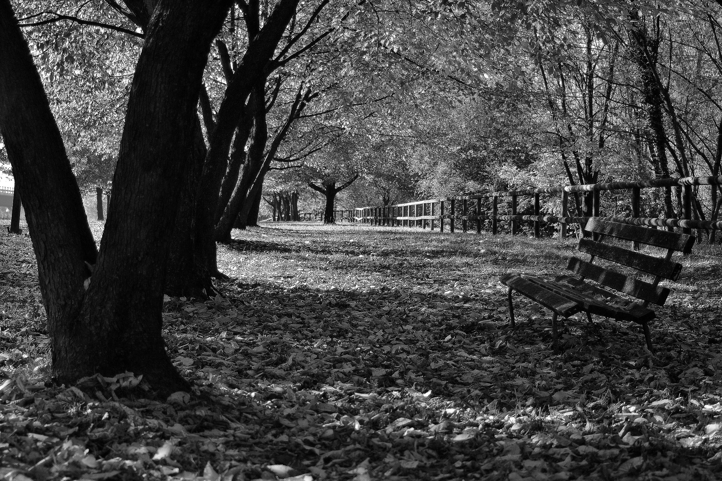 peace and relaxation