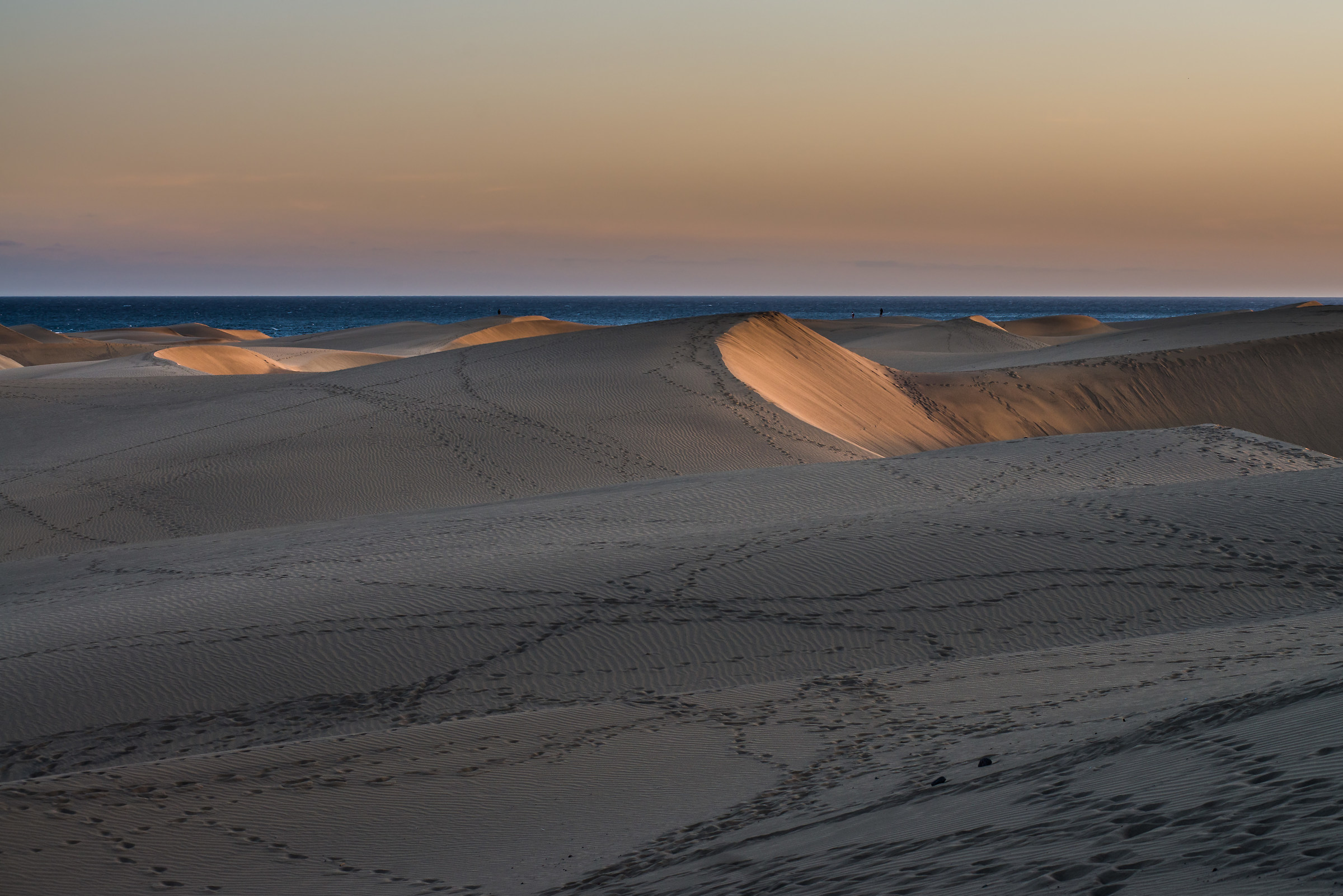 Dunes at sunset