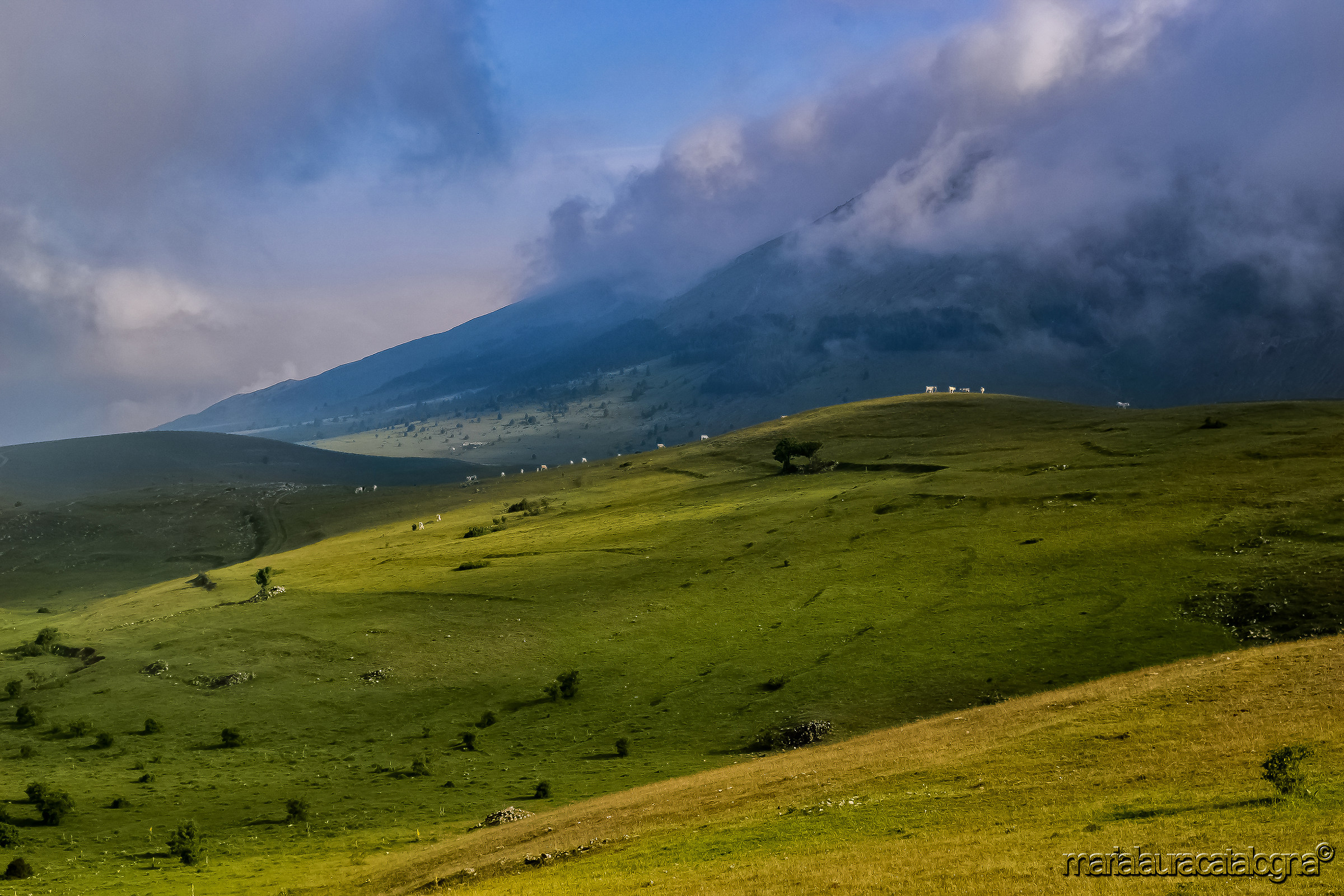 Here come the clouds ...