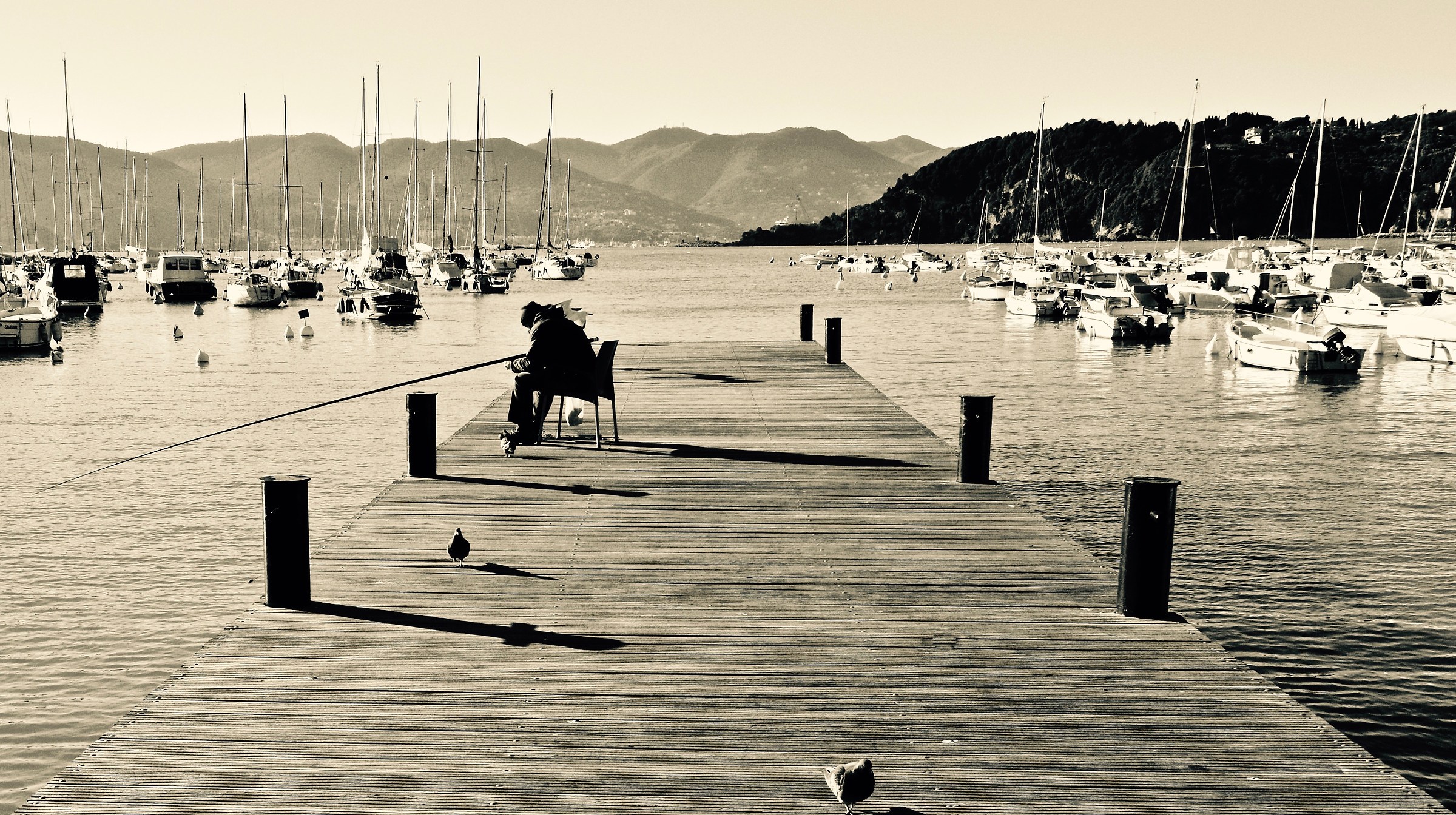 Characters who have always been.