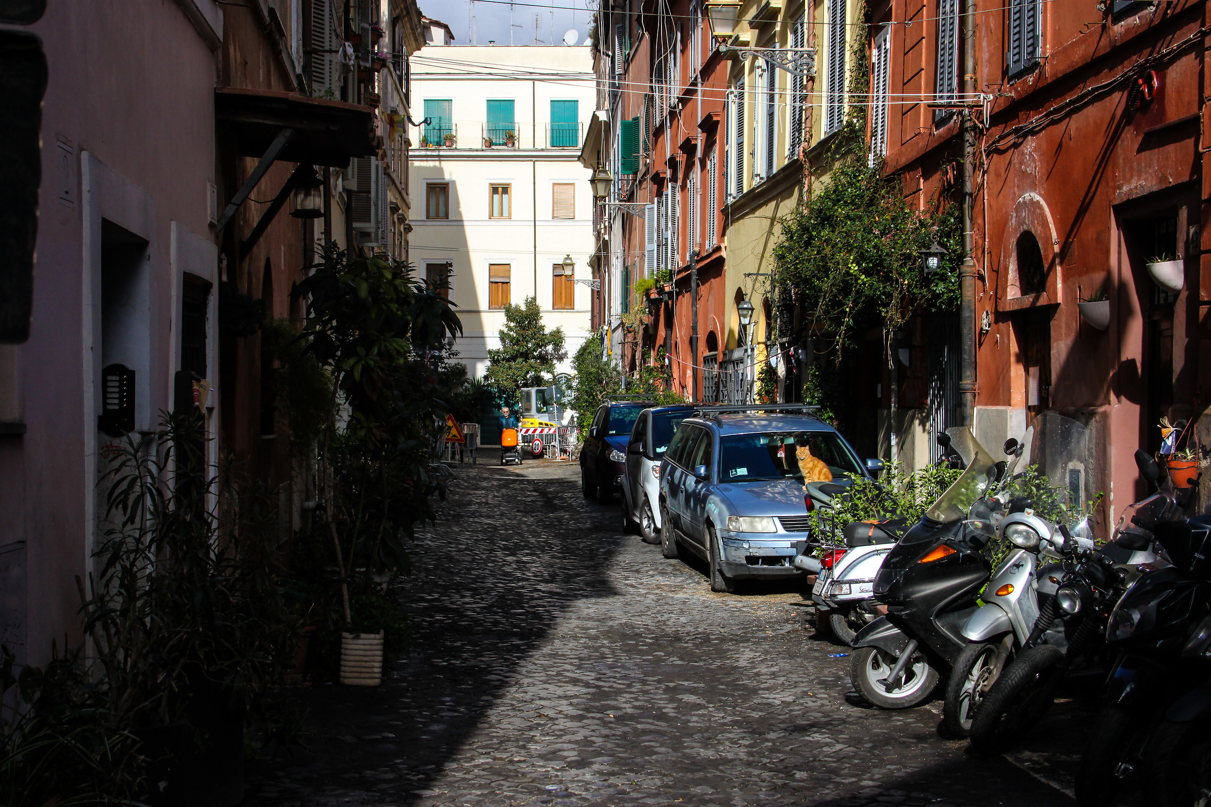 Trastevere II