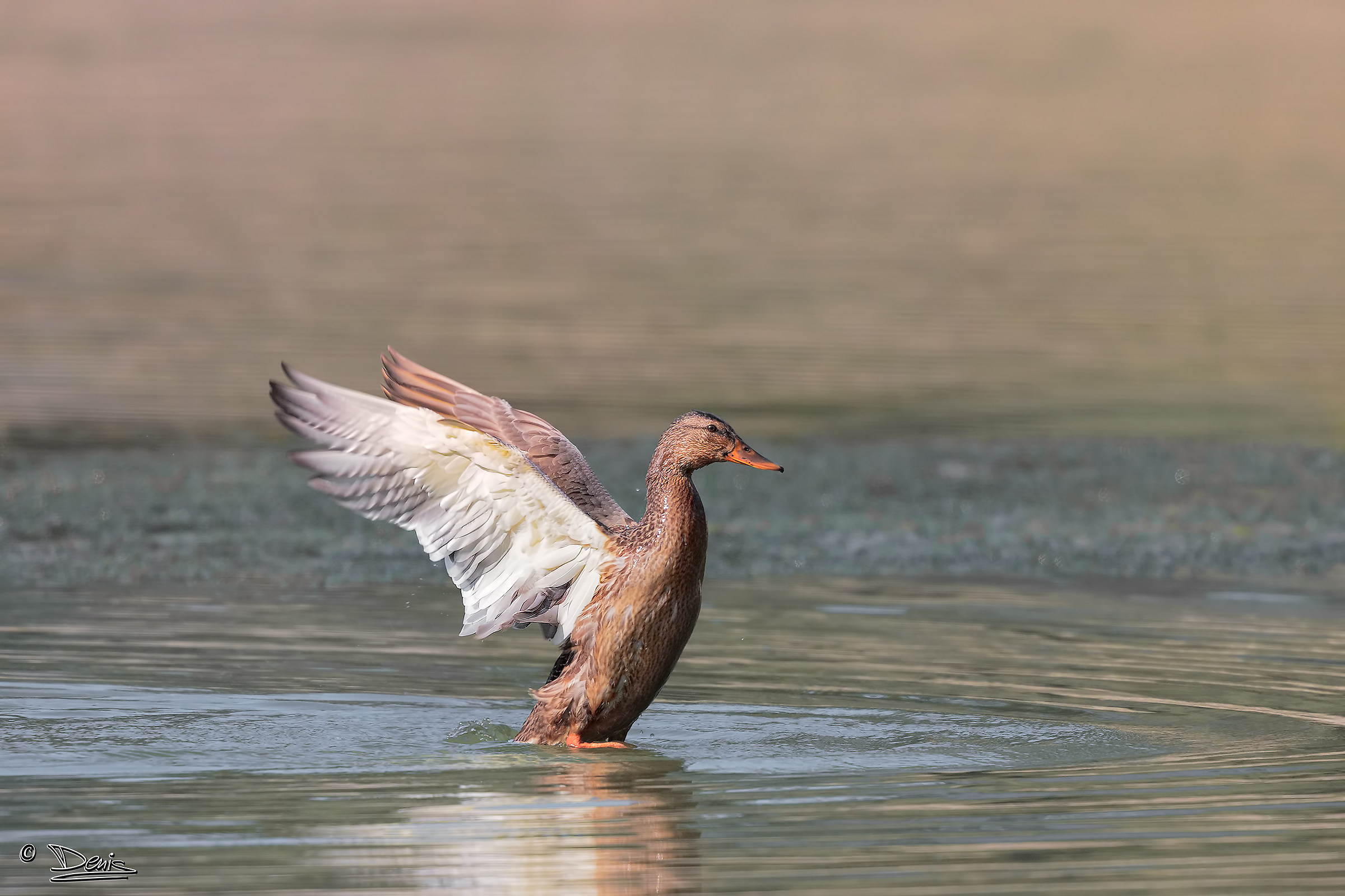 A little stretching !!!