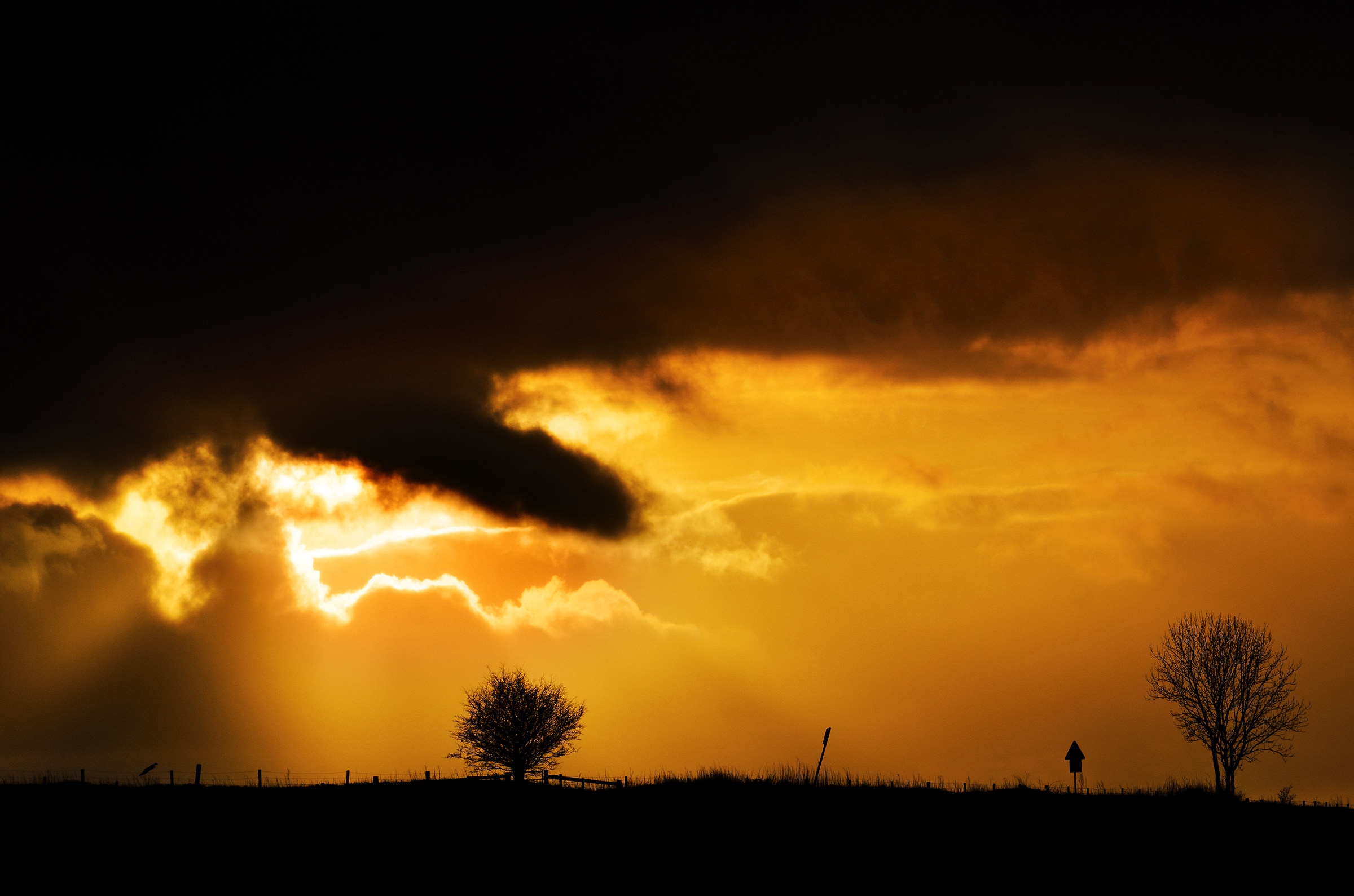 Violence in the Sky!