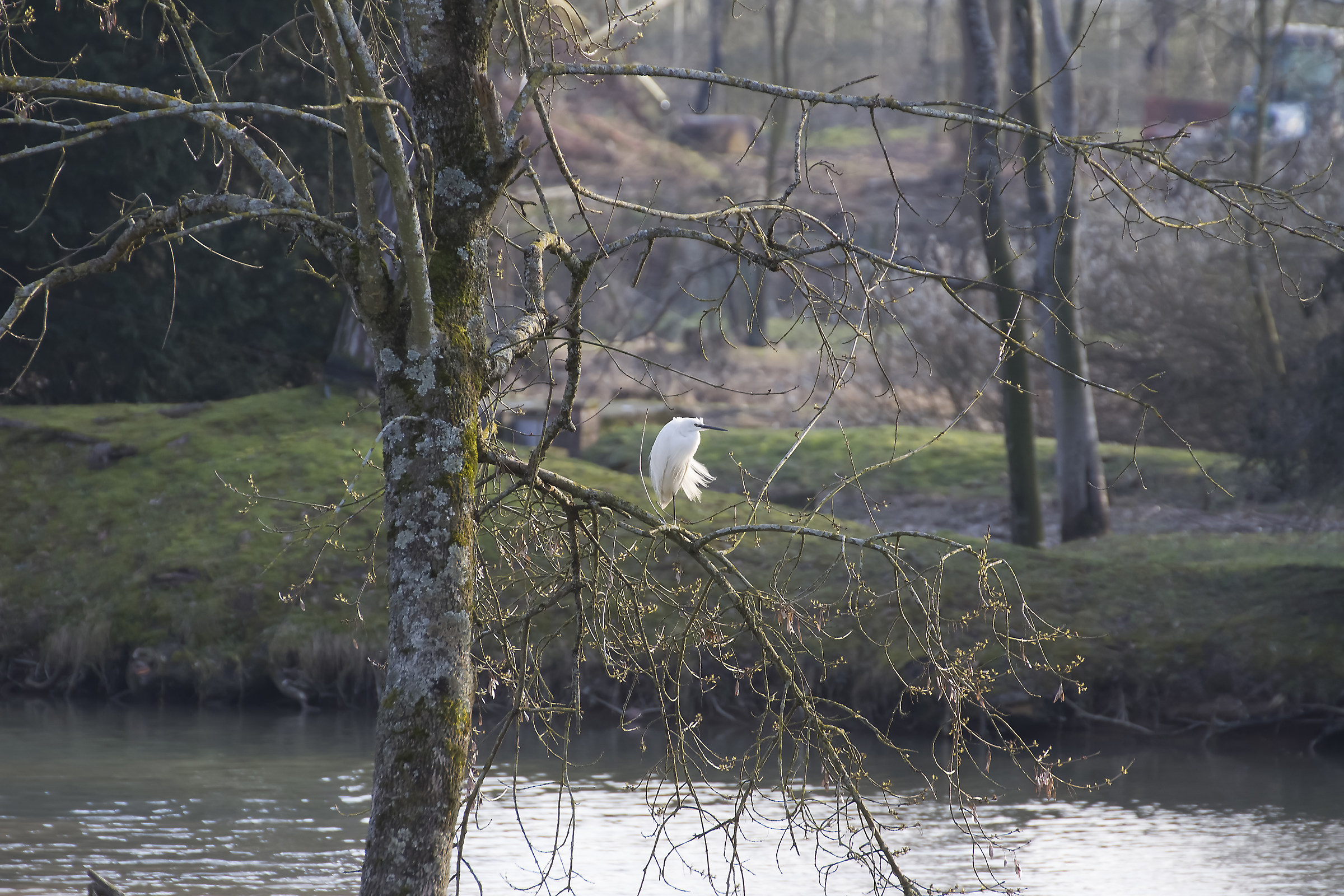 Lonely in my favorite park