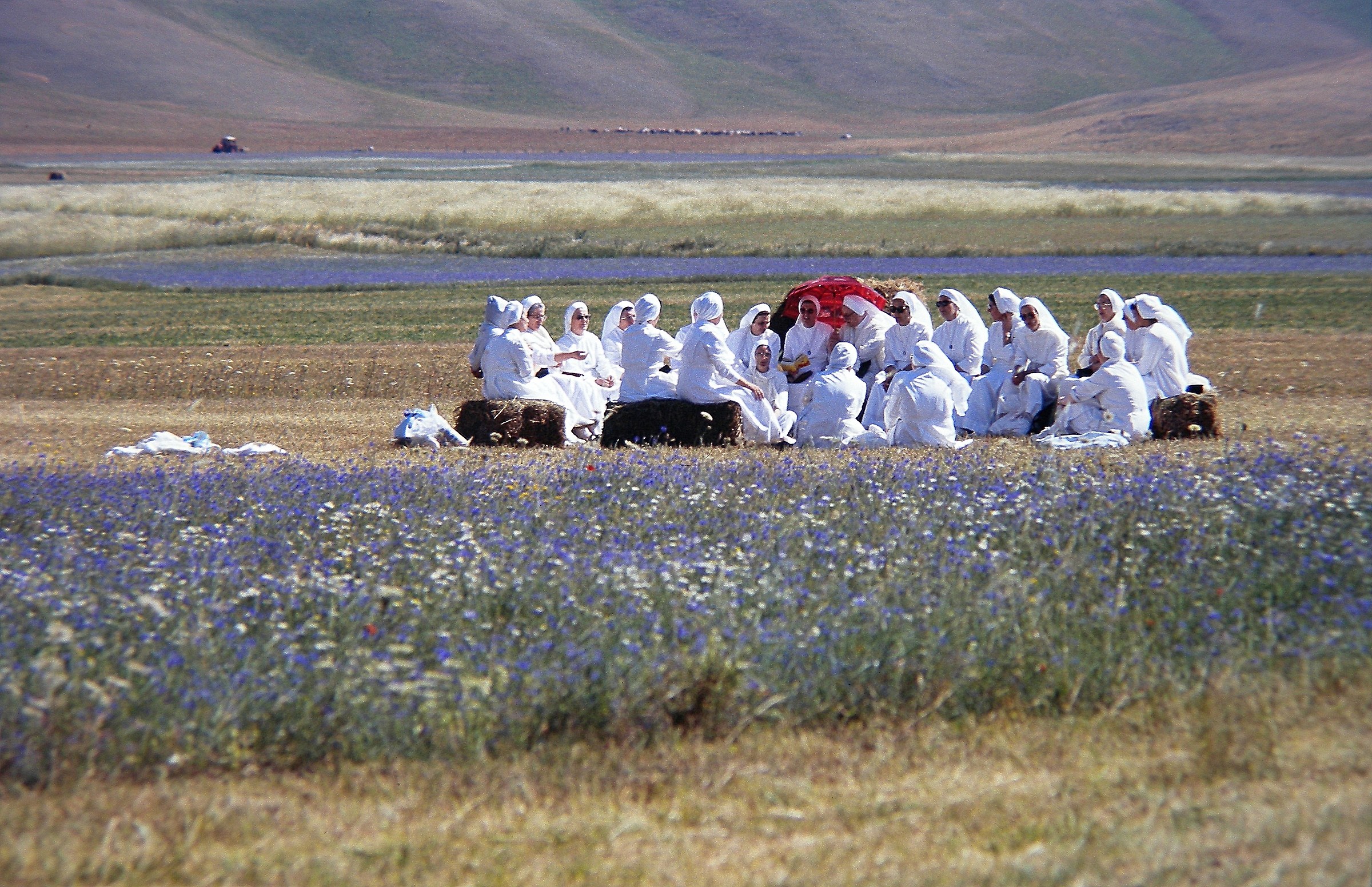 Sisters in Congress in 1996