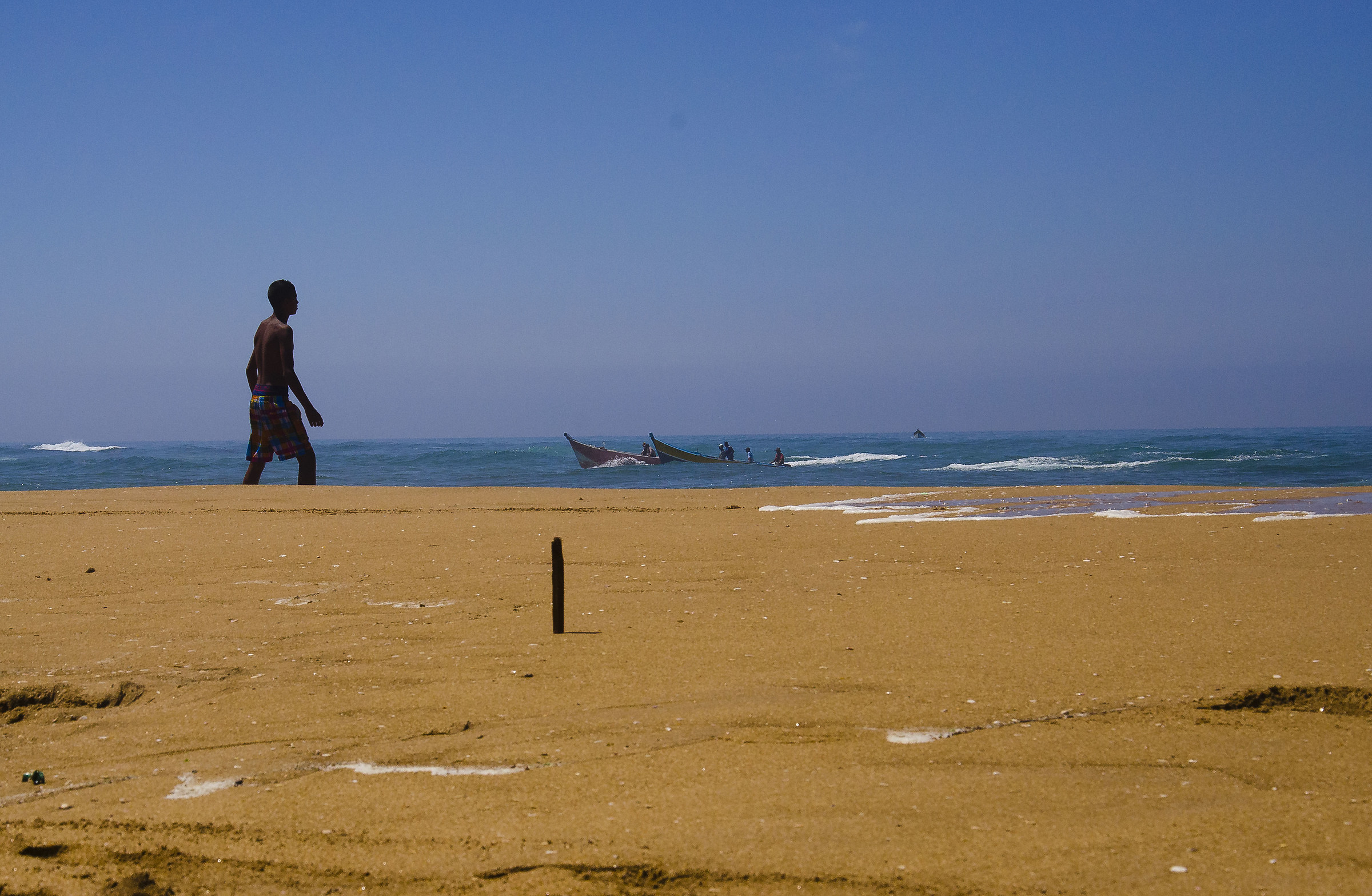 Agosto a Merja Zerga Lagoon