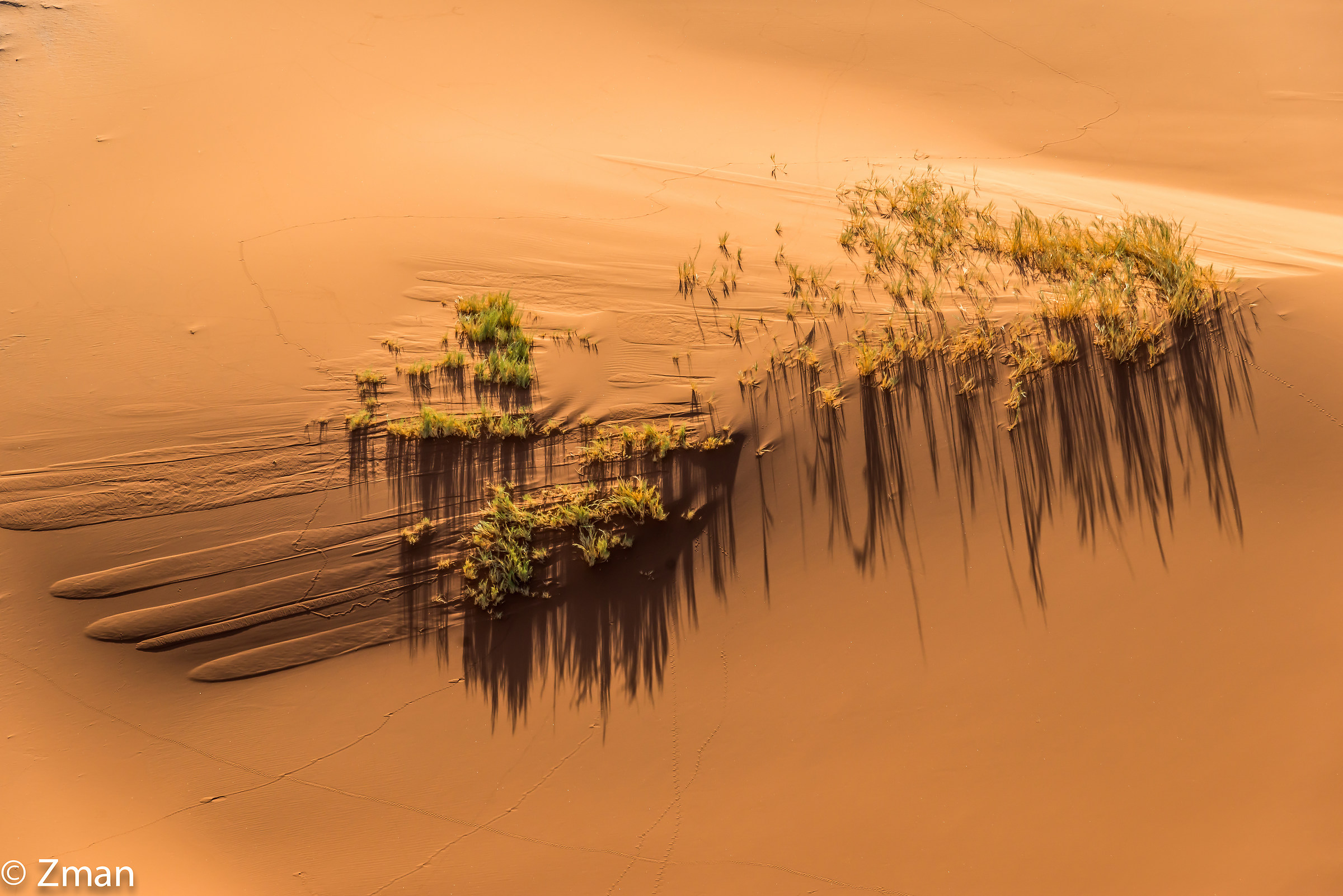 Hot-Air-Balloon Ride