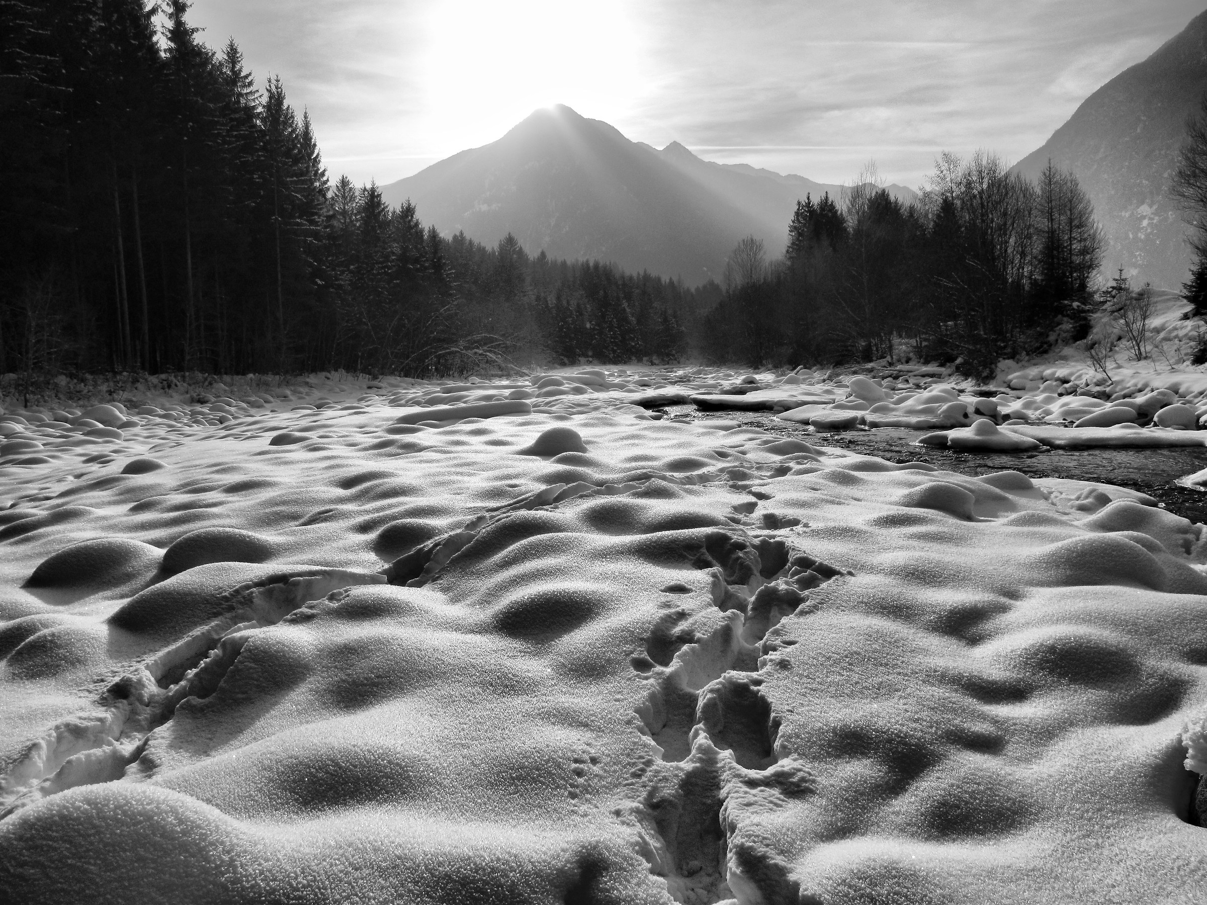 Footprints in the Snow