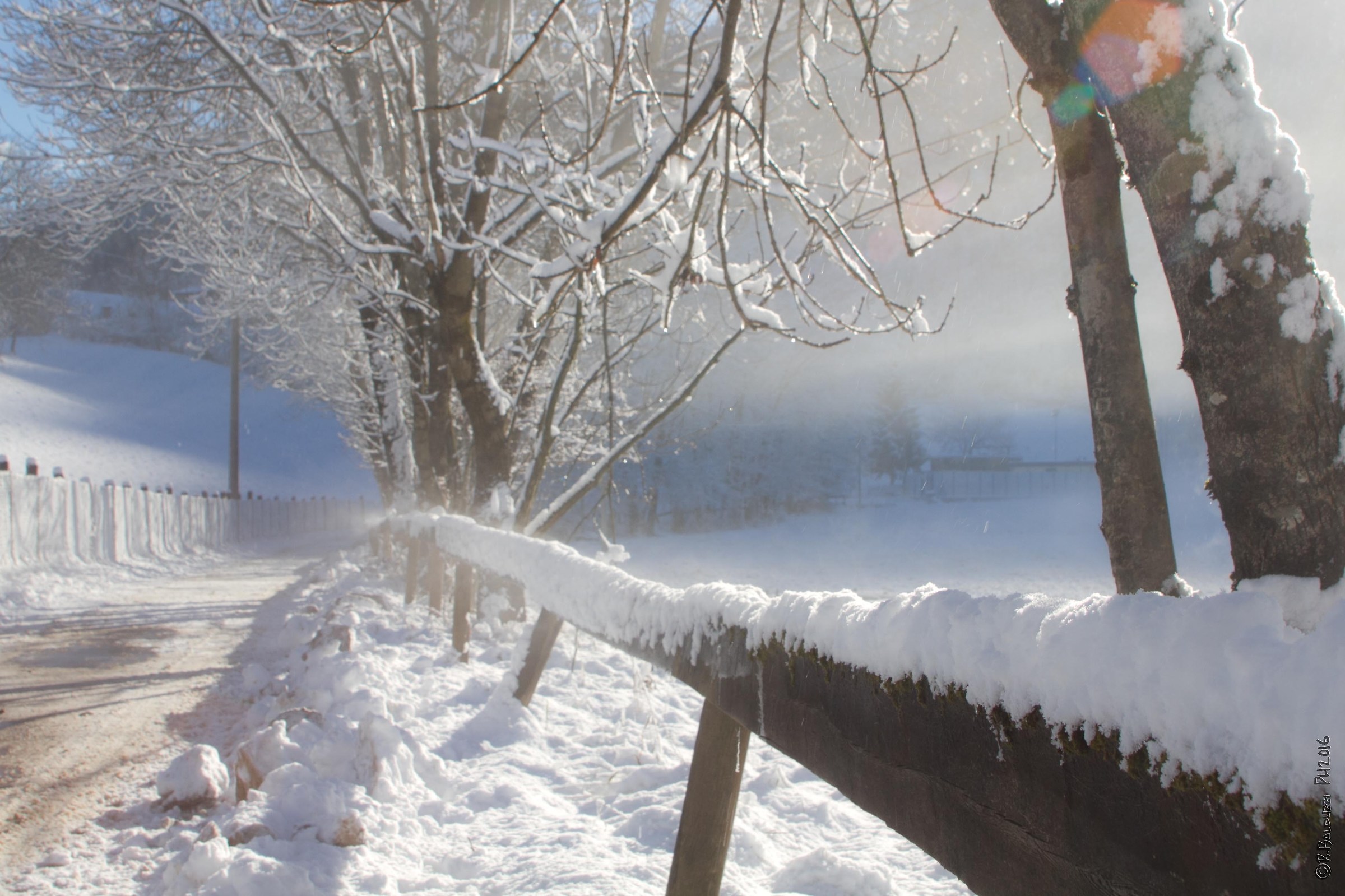 The snow on the fence