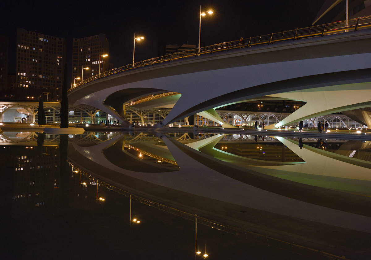 Beautiful Calatrava 6