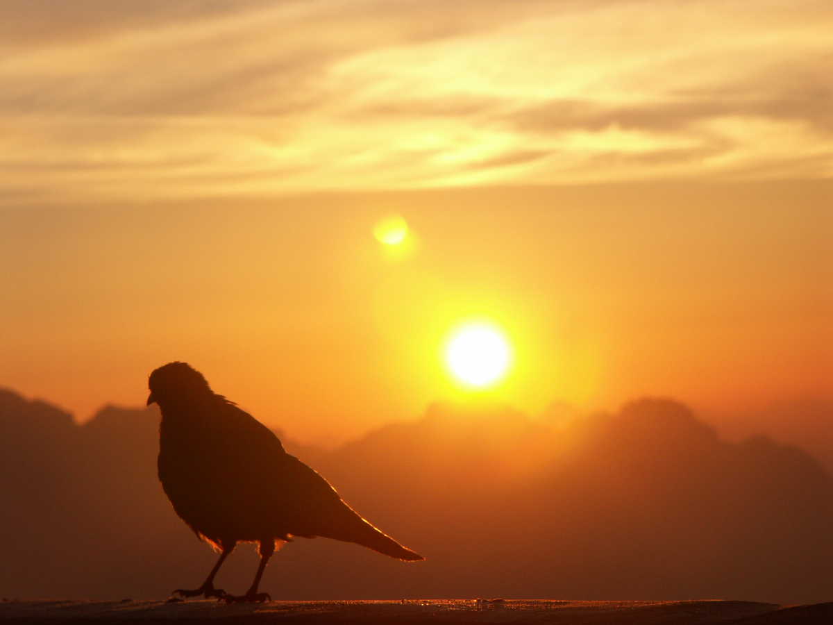 Alba vicino al Cristallo