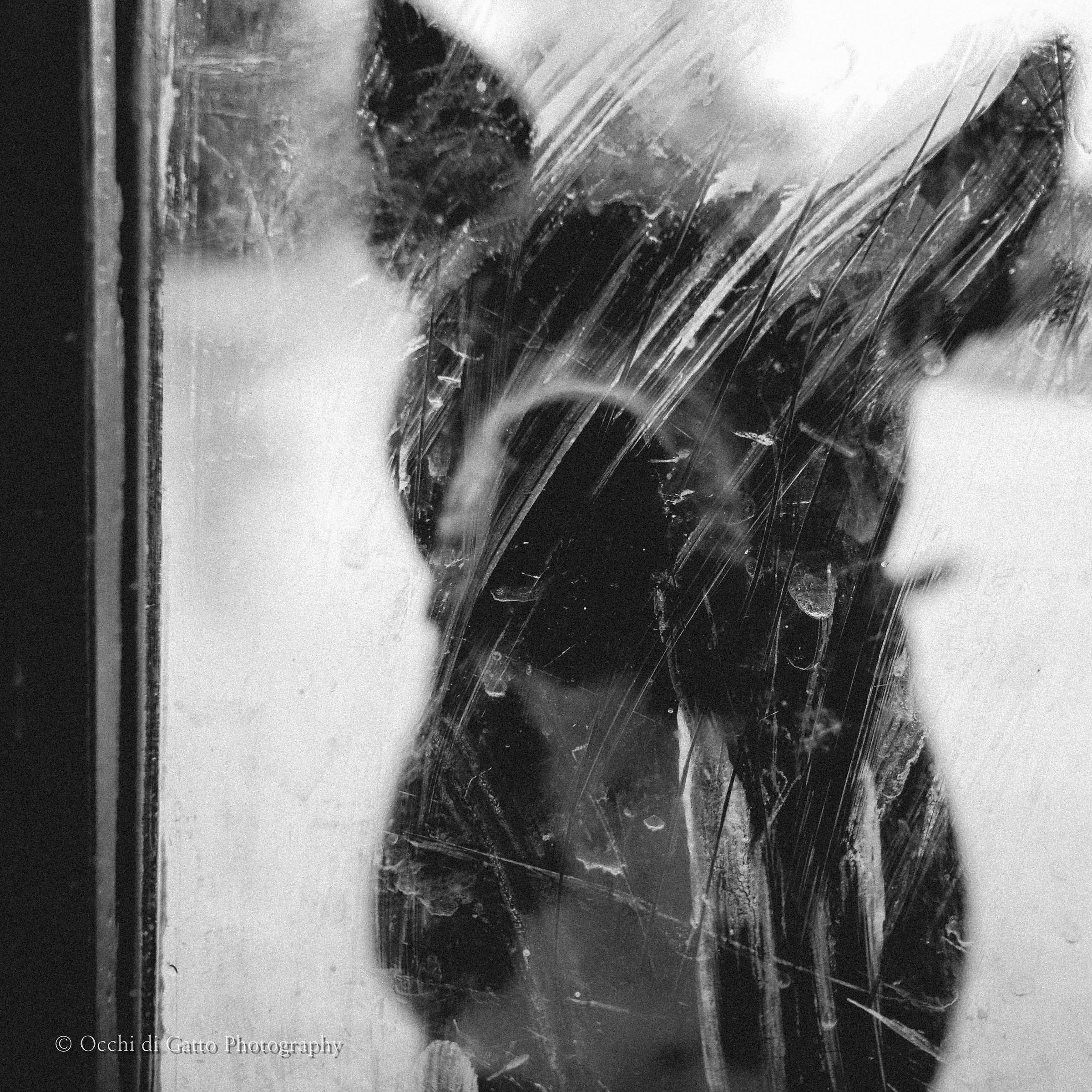 Castelletto Merli, 7.2.2016