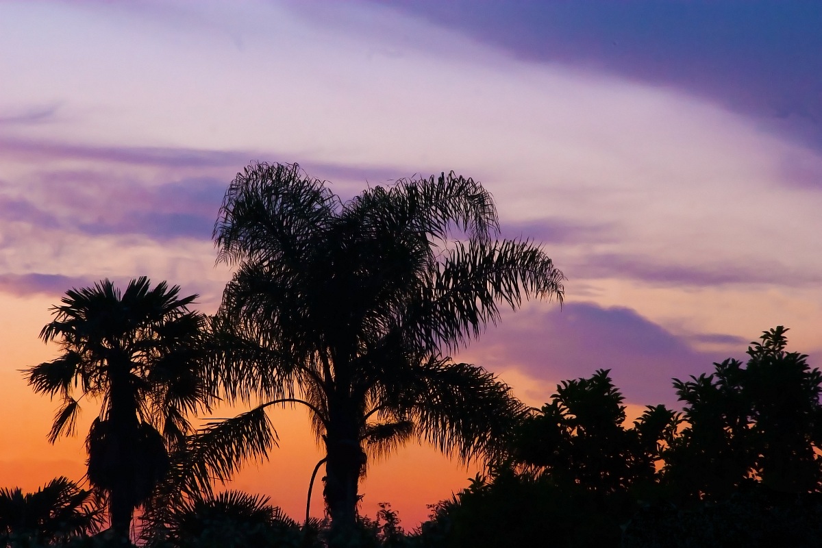 I Colori Unici del Tramonto