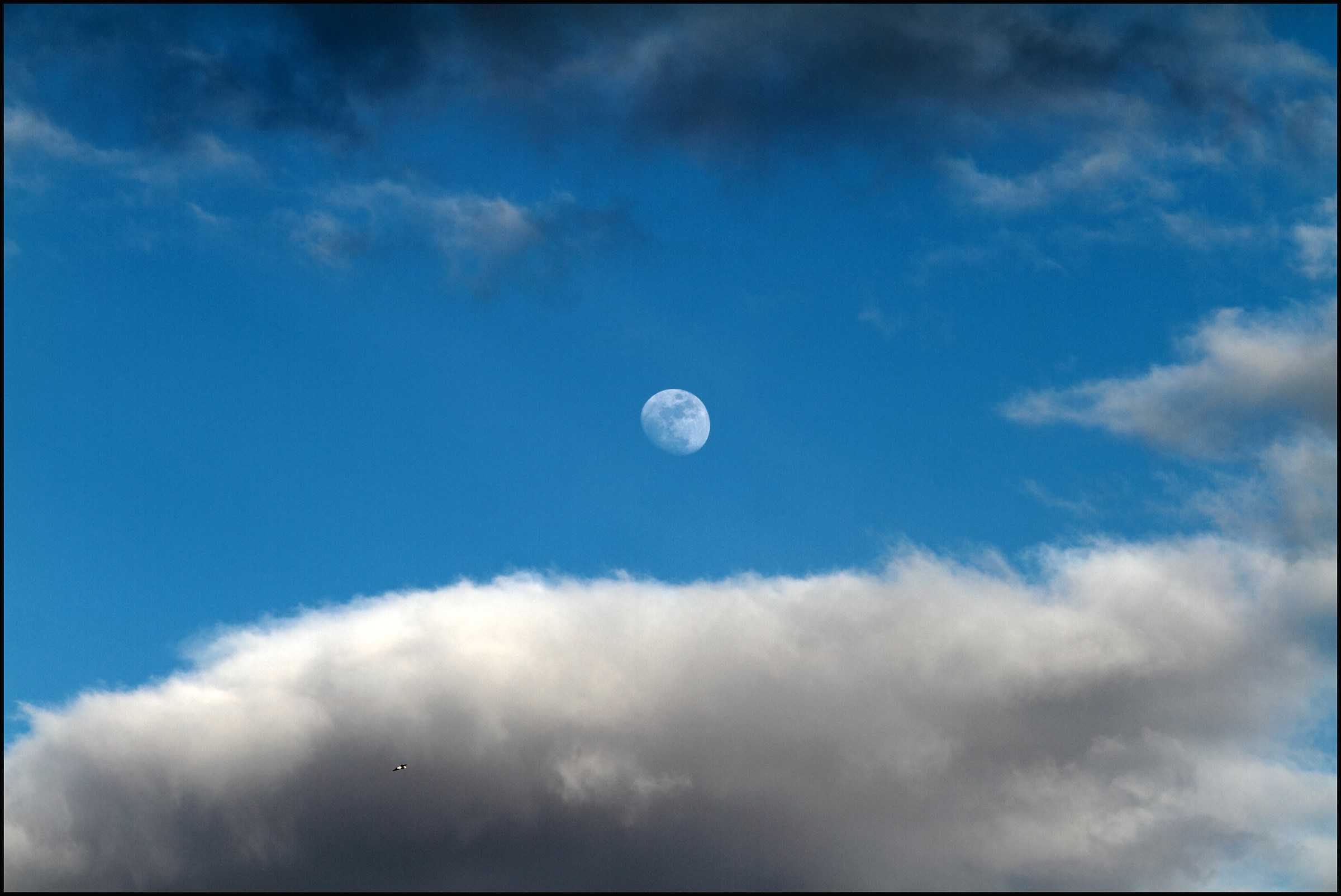 la luna sul porto di salerno....