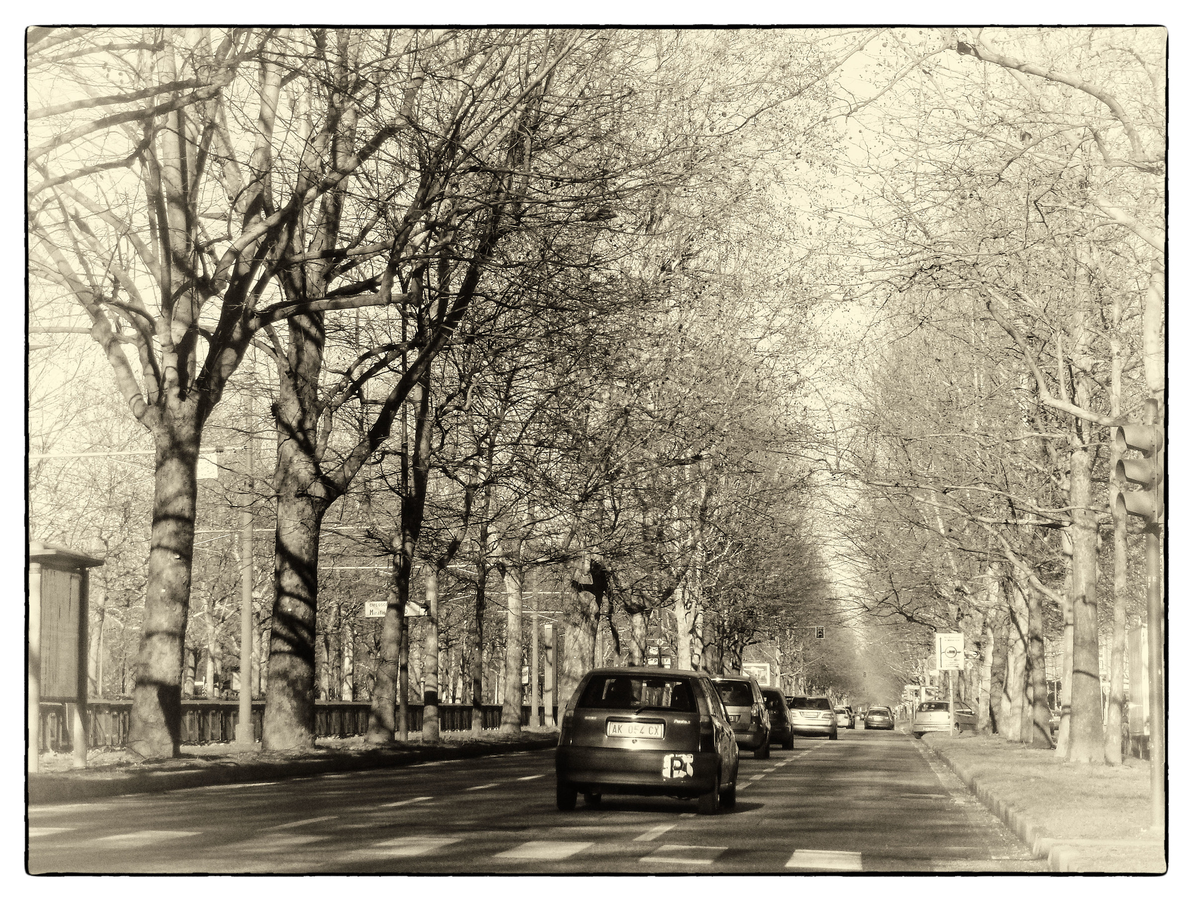 Tra le strade di Torino