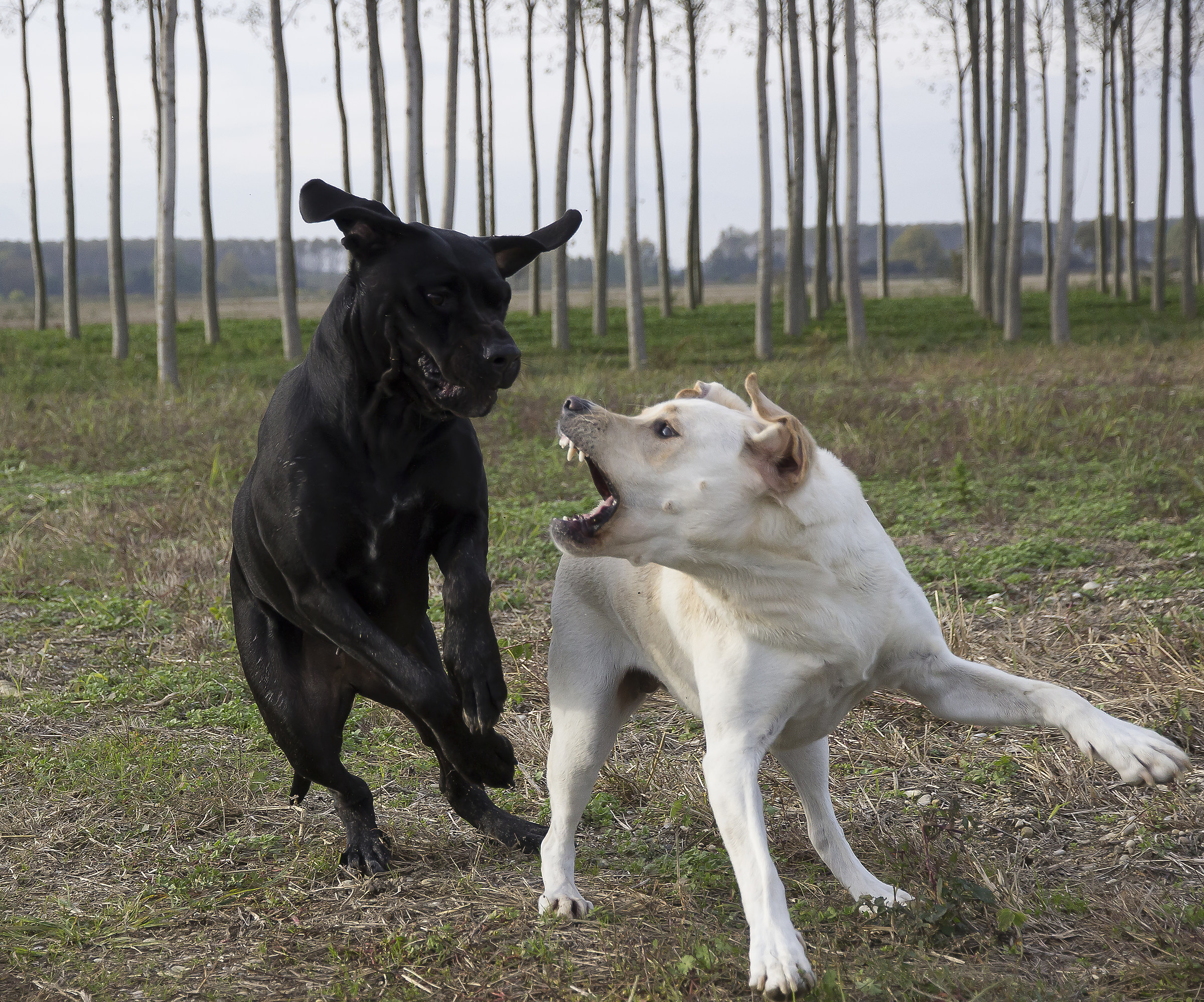 Teasing between sisters