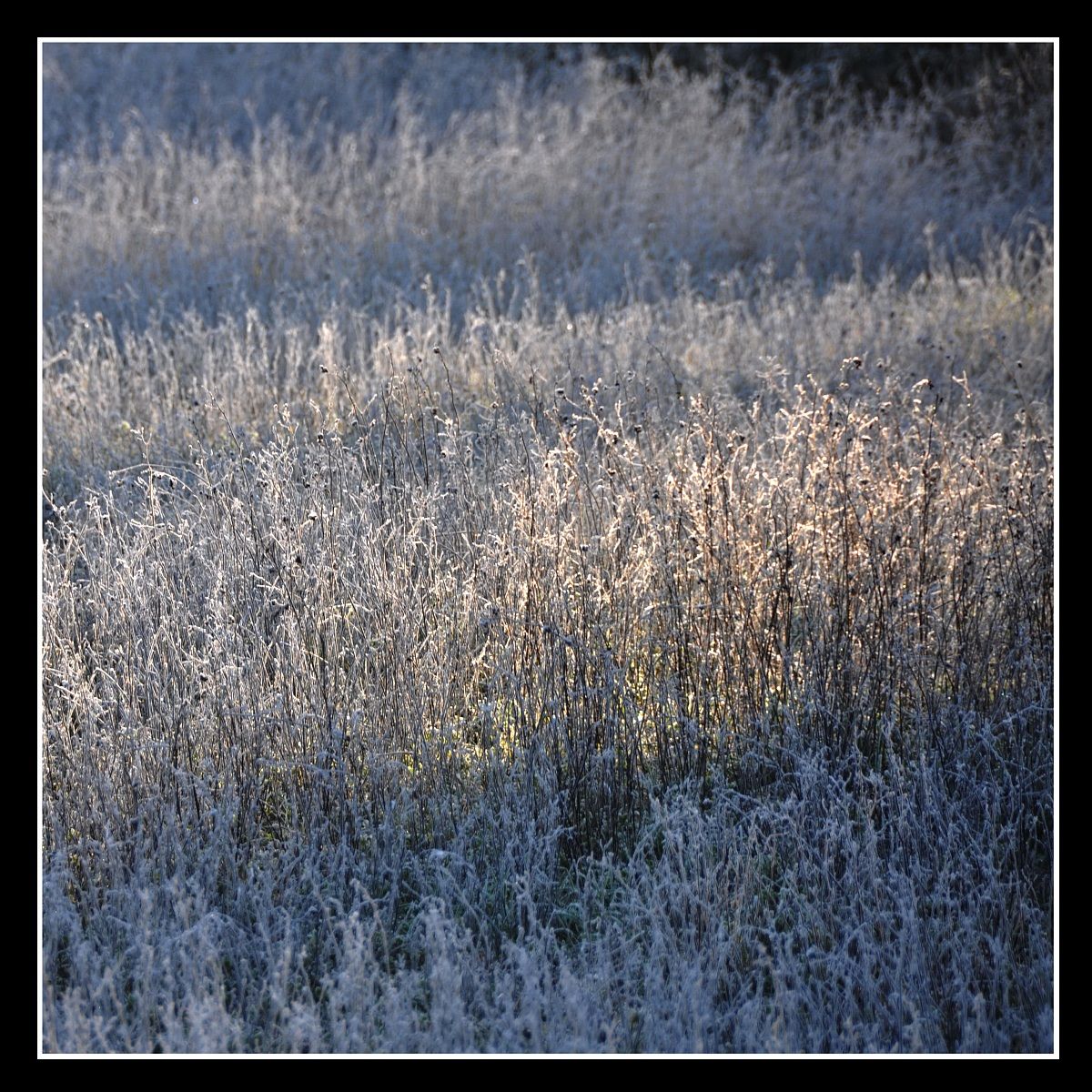 The colors of the cold