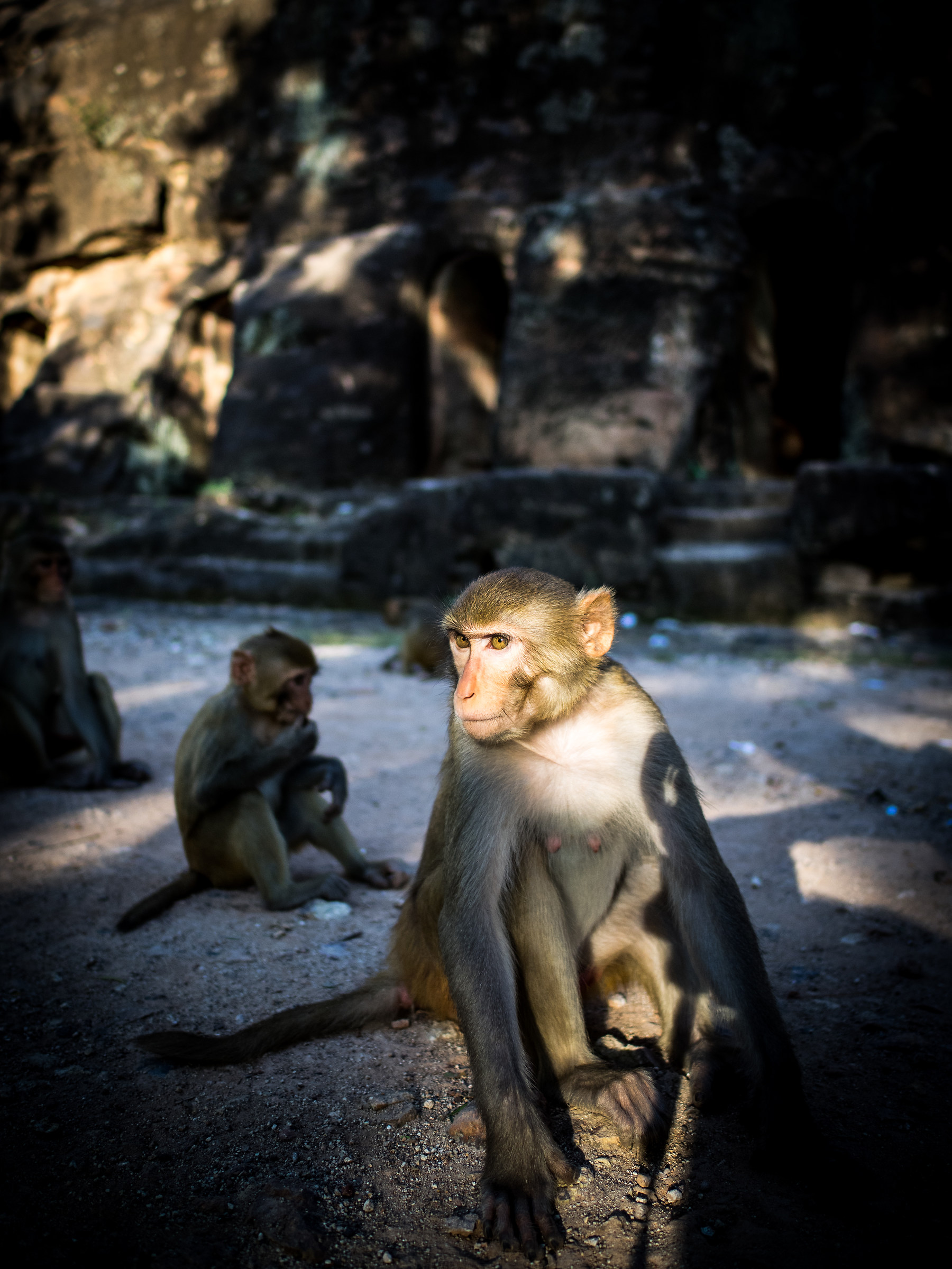 Posing in the ruins .. Myanmar in 2015