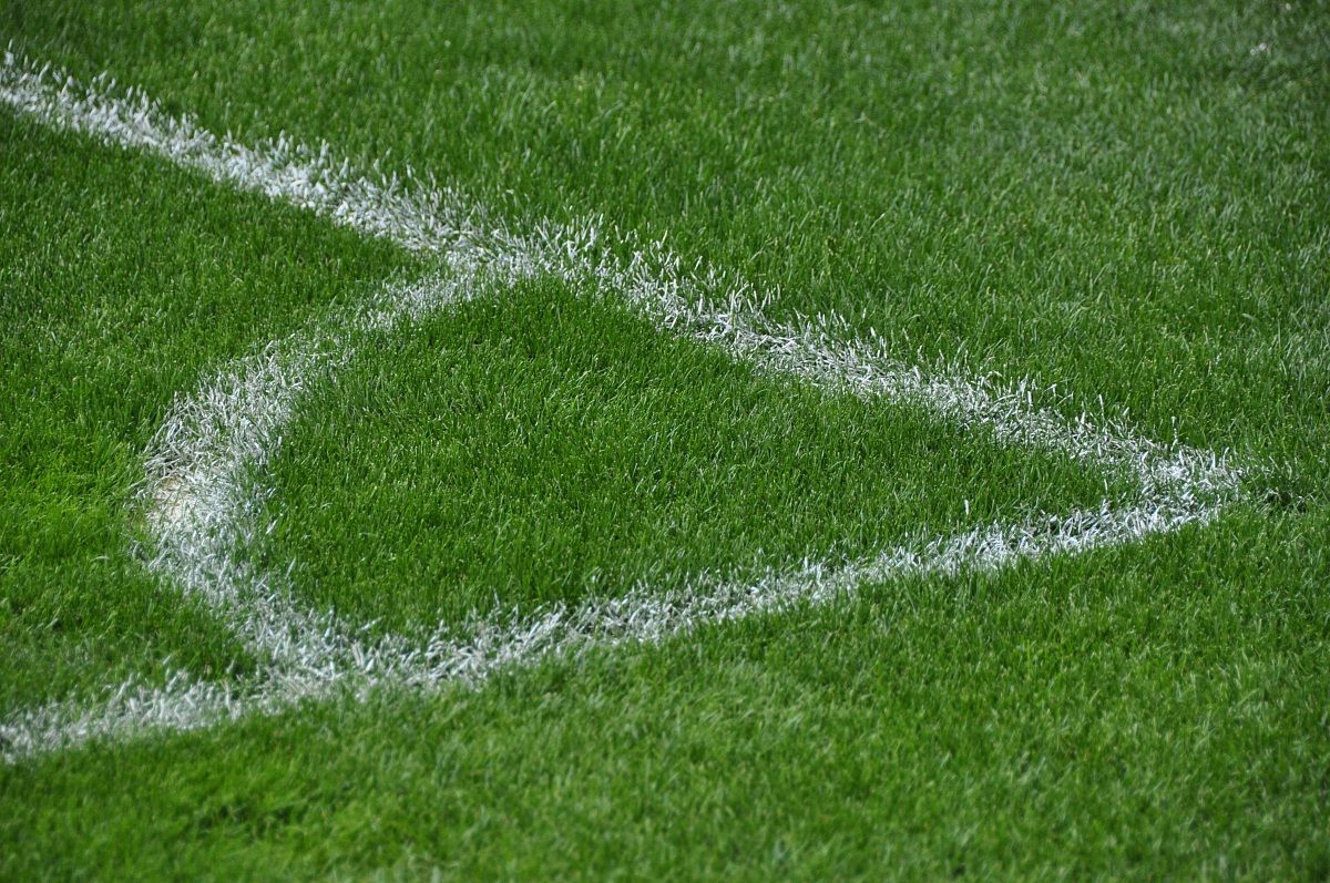 Grass Bernabeu - Madrid