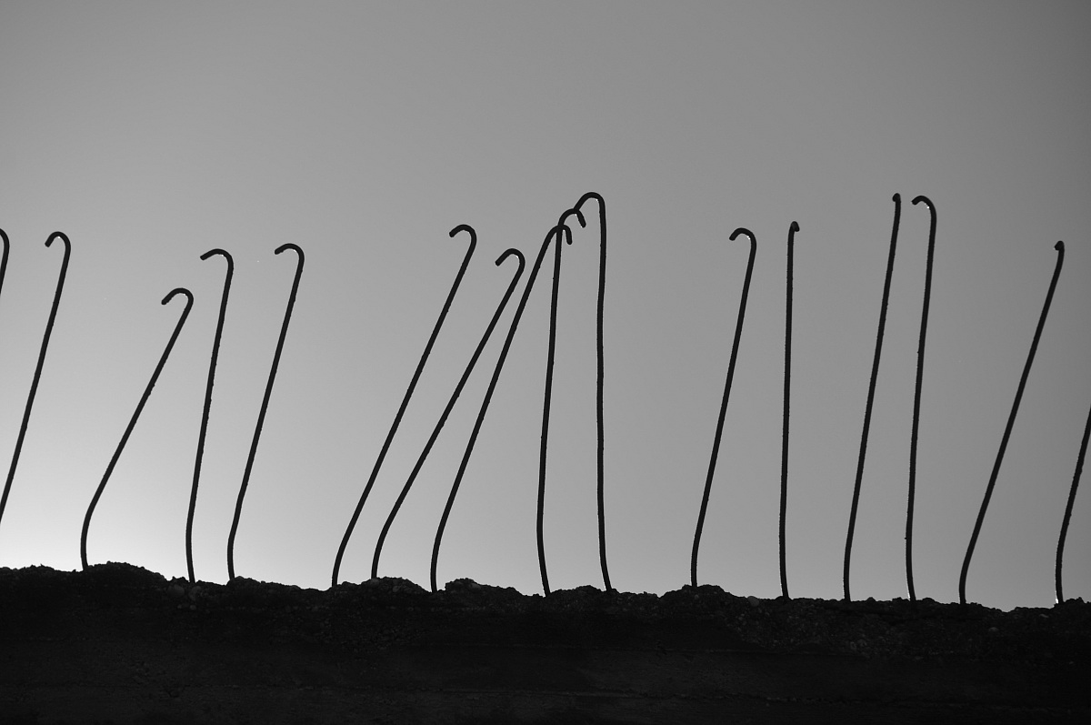 Backlight attractive