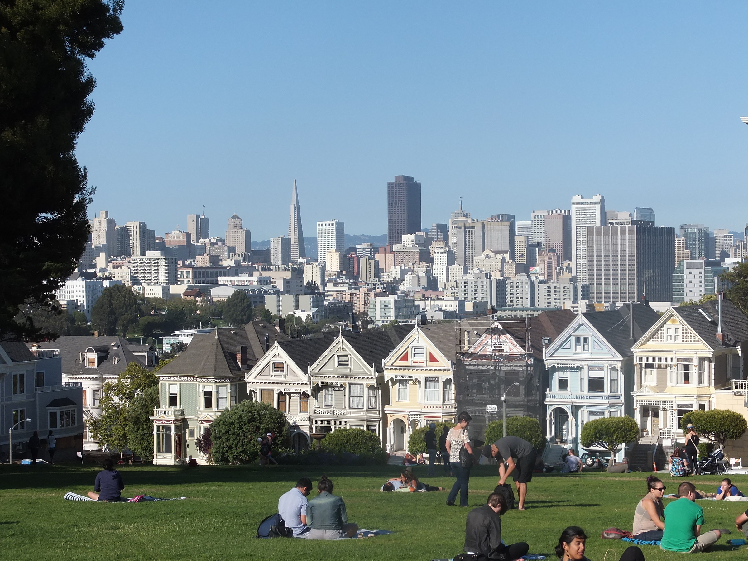 Veduta della città da Alamo Square. In primo piano le...
