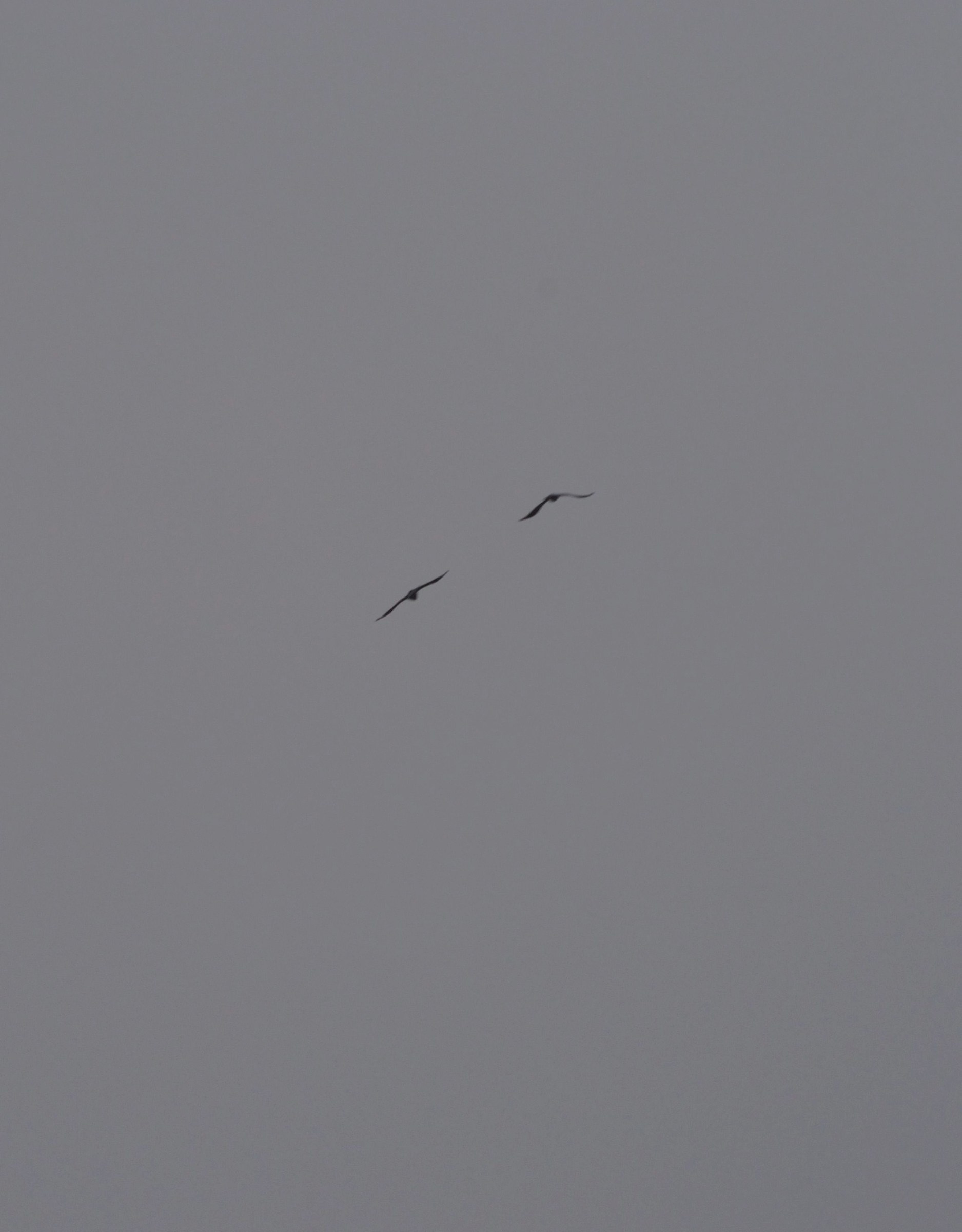 Somebody up there watching us