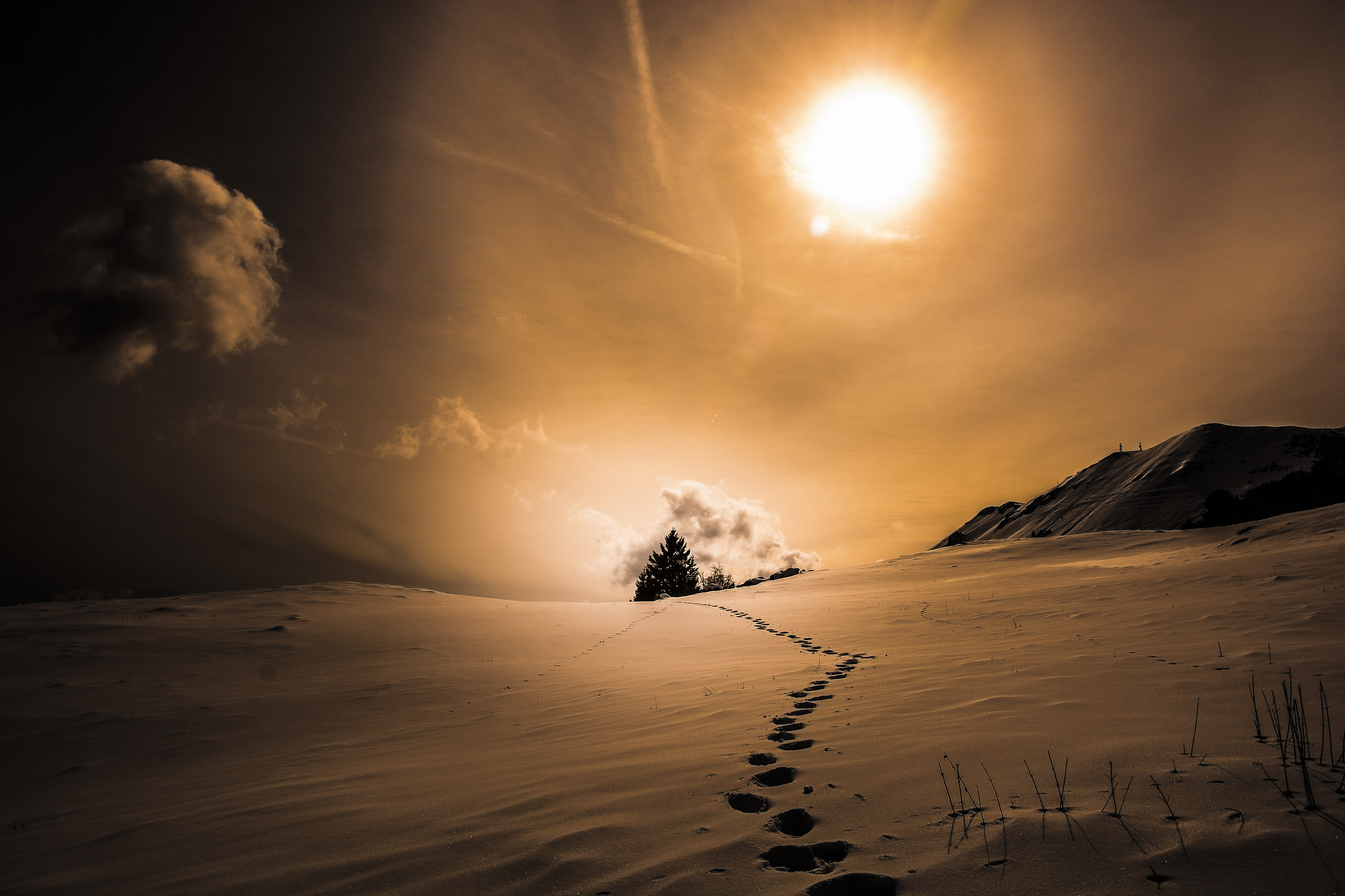 monte baldo - malga valfredda - la solitudine della nev
