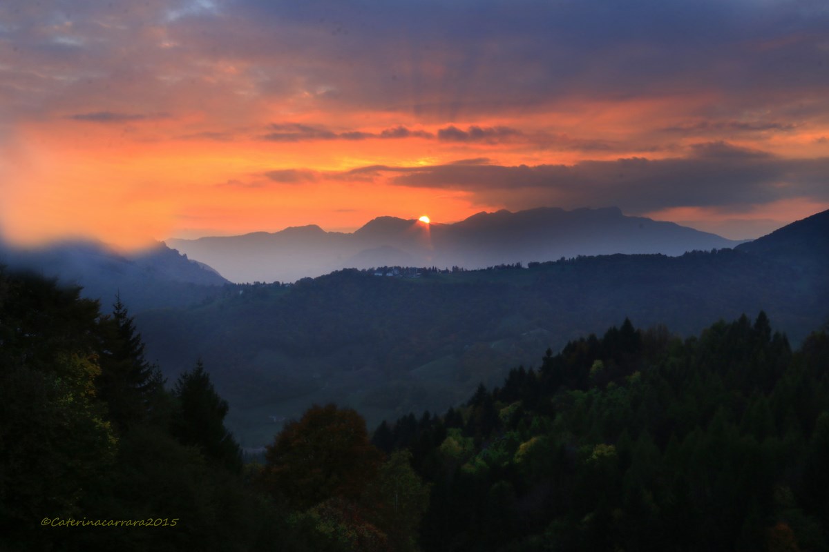 The colors of nature!