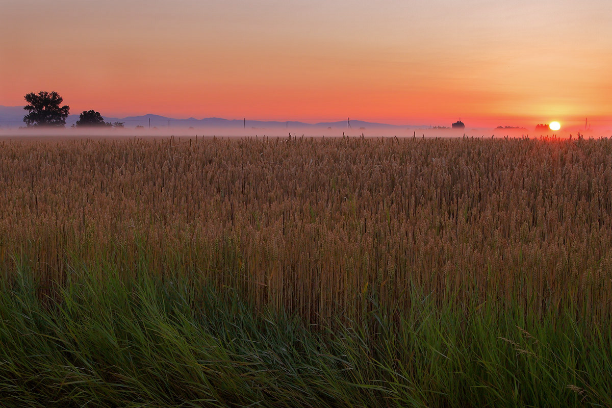 Inizio di un nuovo giorno a Vo' Pindemonte - VR