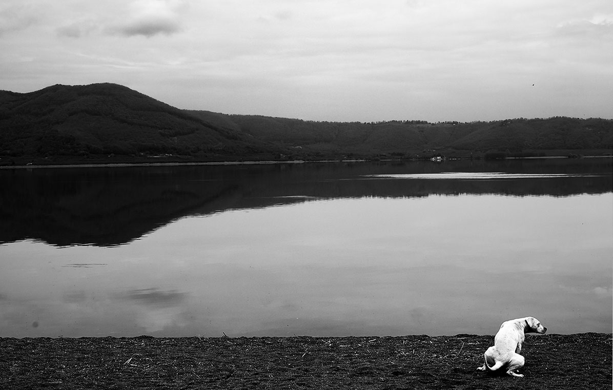 nel momento del bisogno