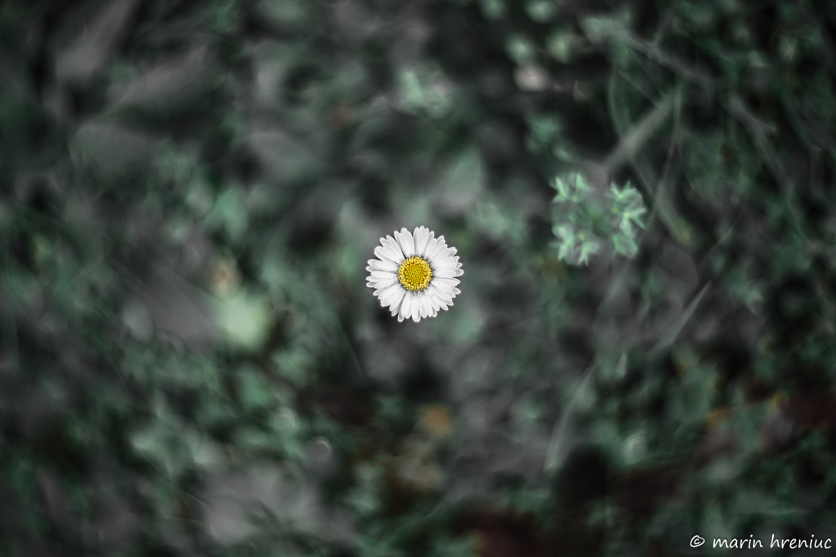 enjoy the loneliness