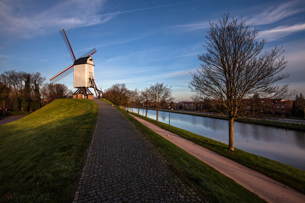 Bruges, i mulini del quartiere Sant'Anna