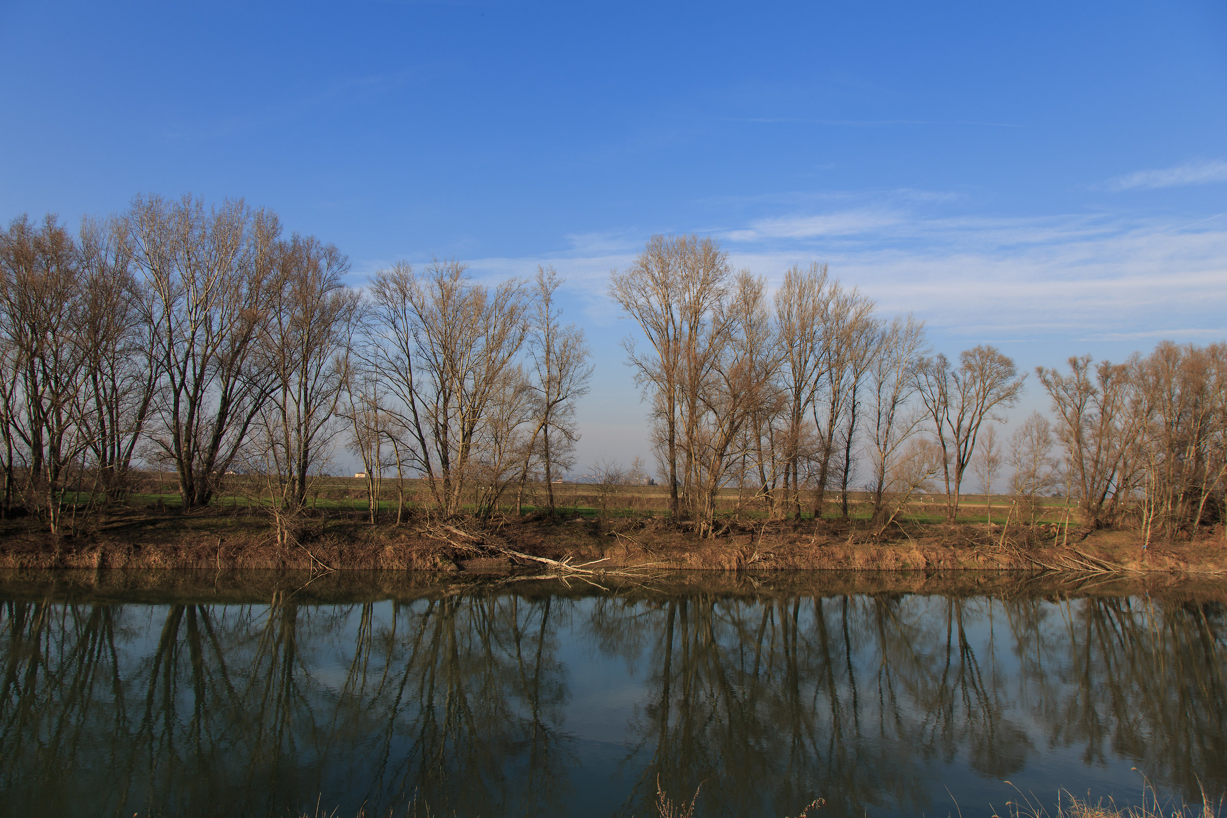 sull'Adige reflections