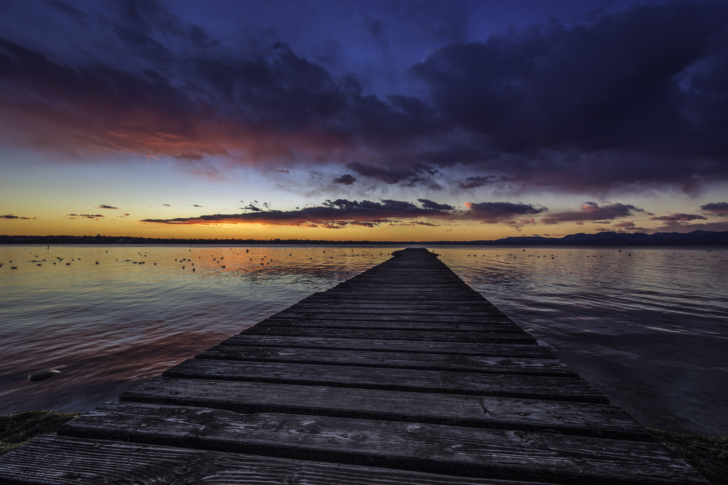 Esplosione di colori