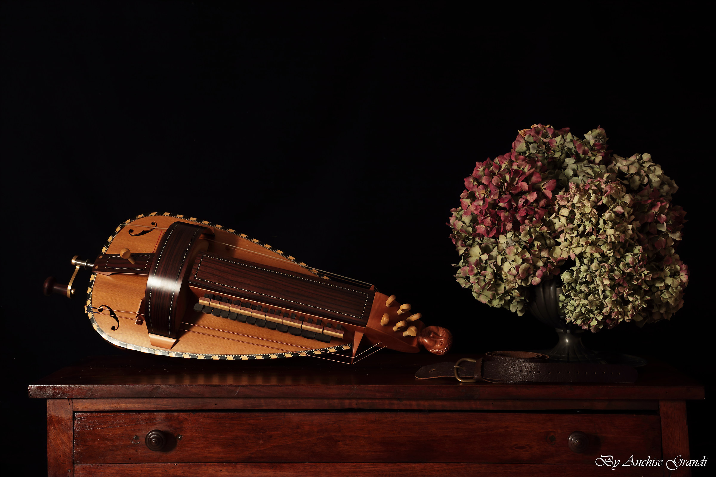 hurdy-gurdy