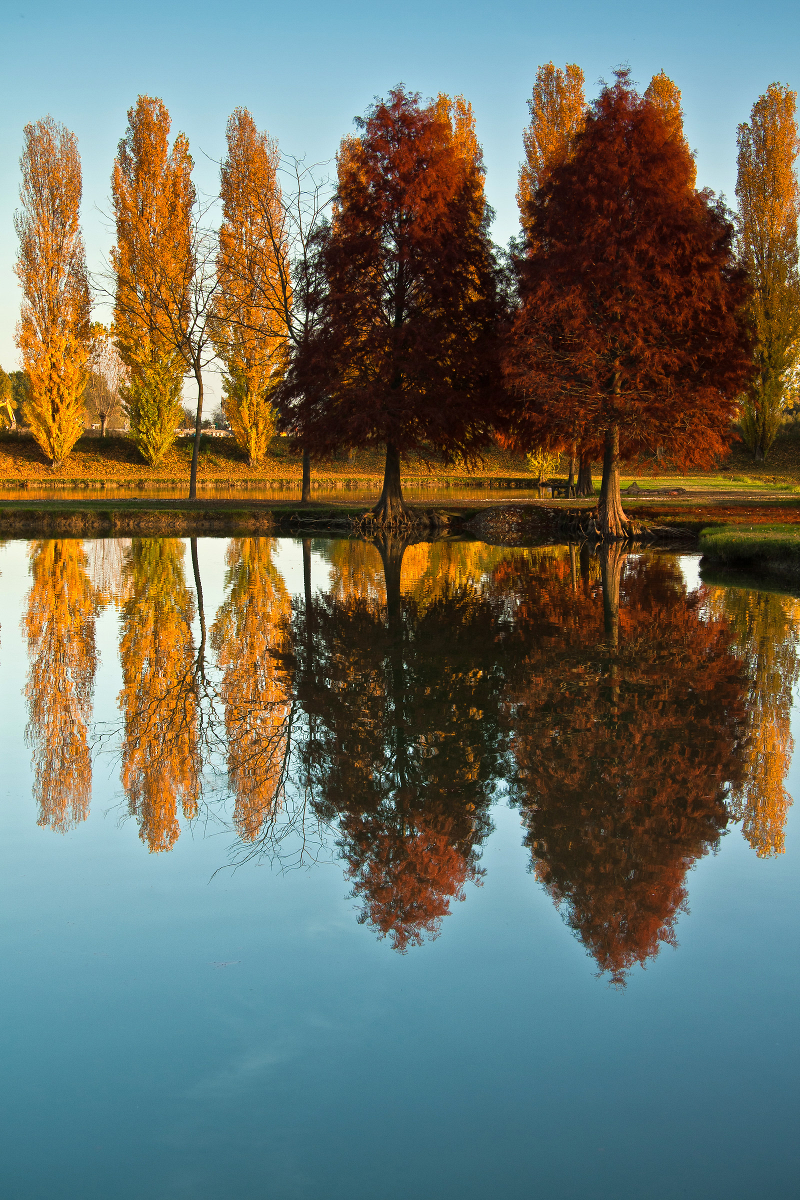 Il giallo, il rosso, l'azzurro....l'autunno