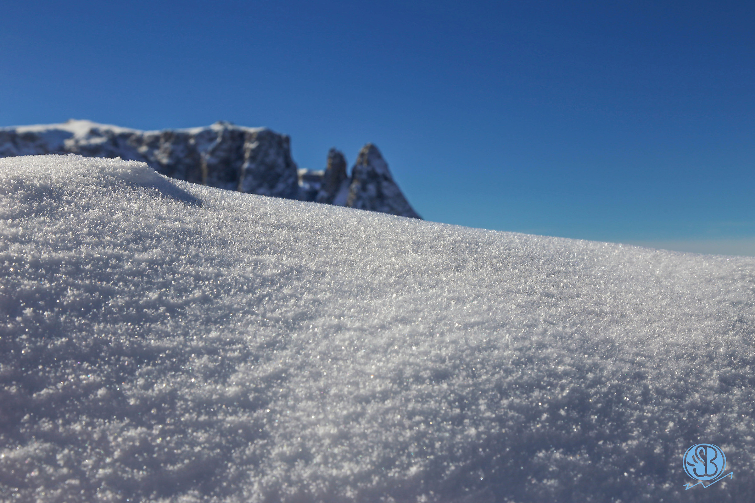 Lo scilliar spunta dalla neve...