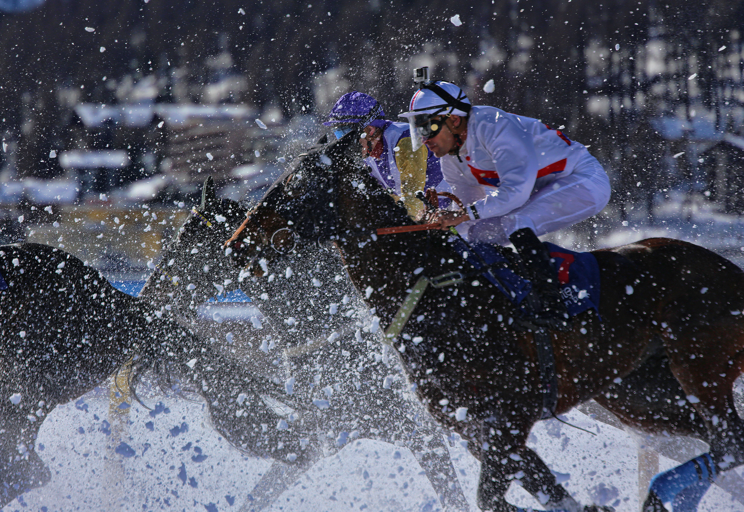 Galloping White Turf St Moritz
