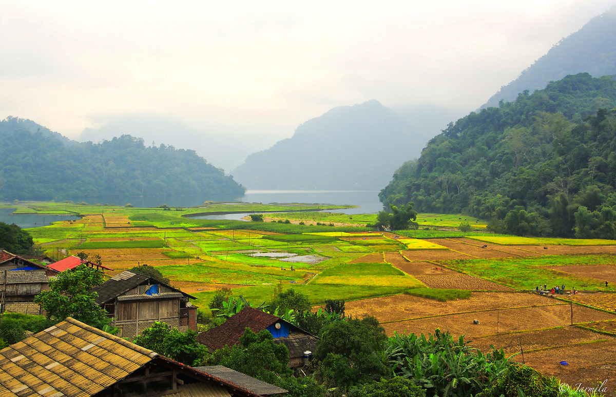 The morning mist on the lake - Ba Be Lake, Vietnam ..