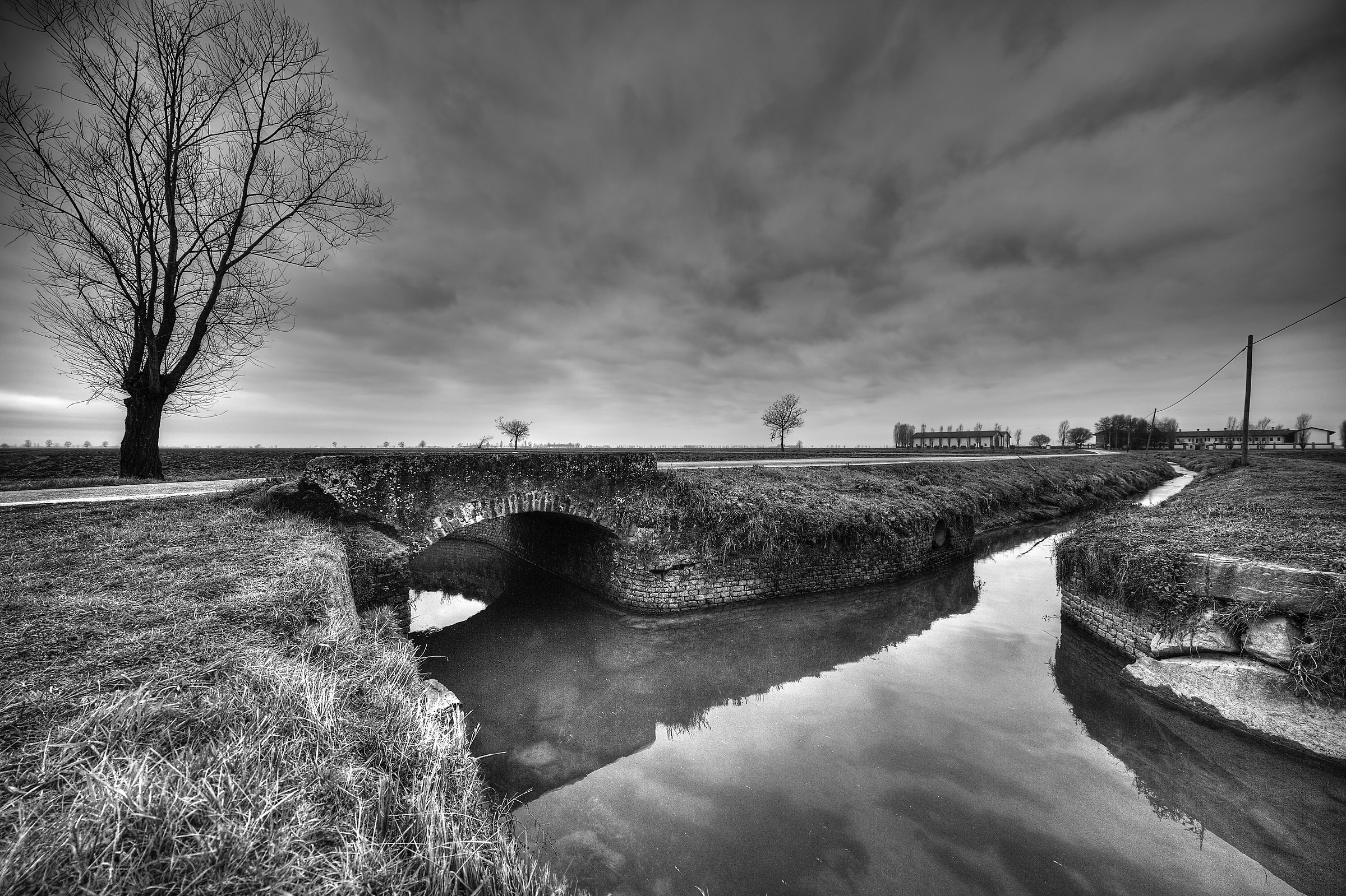 Vercelli rice paddies