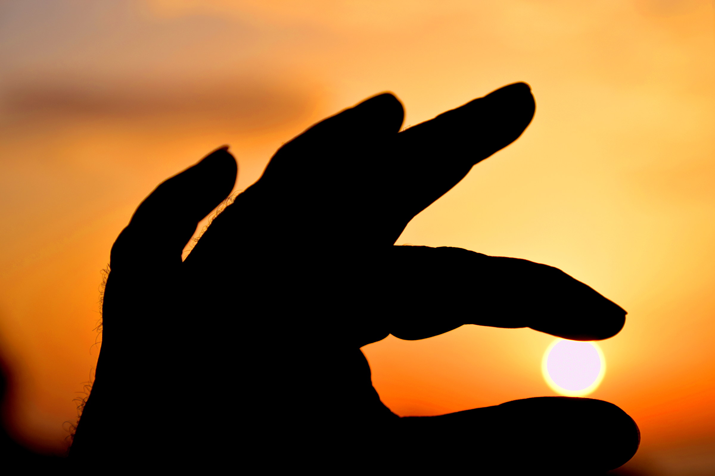 Amo giocare con l'astro nascente