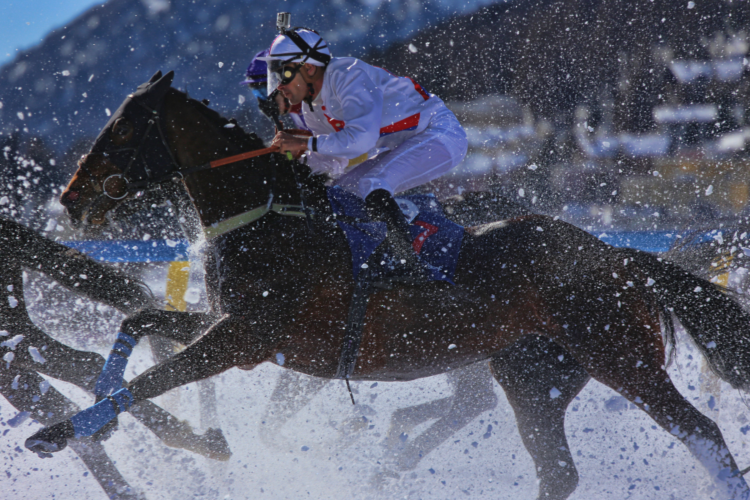 Galloping White Turf St Moritz