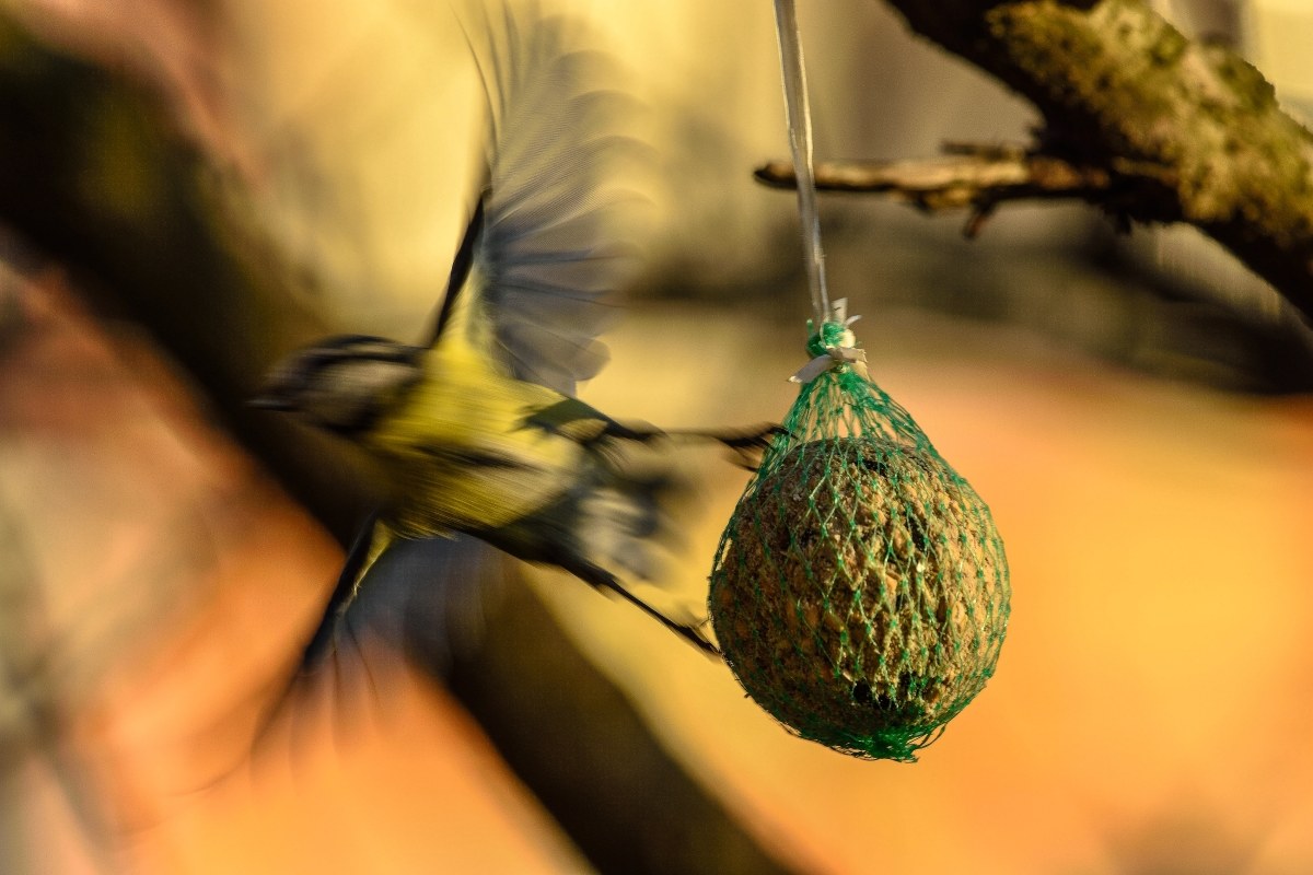 Bye-Bye!.................