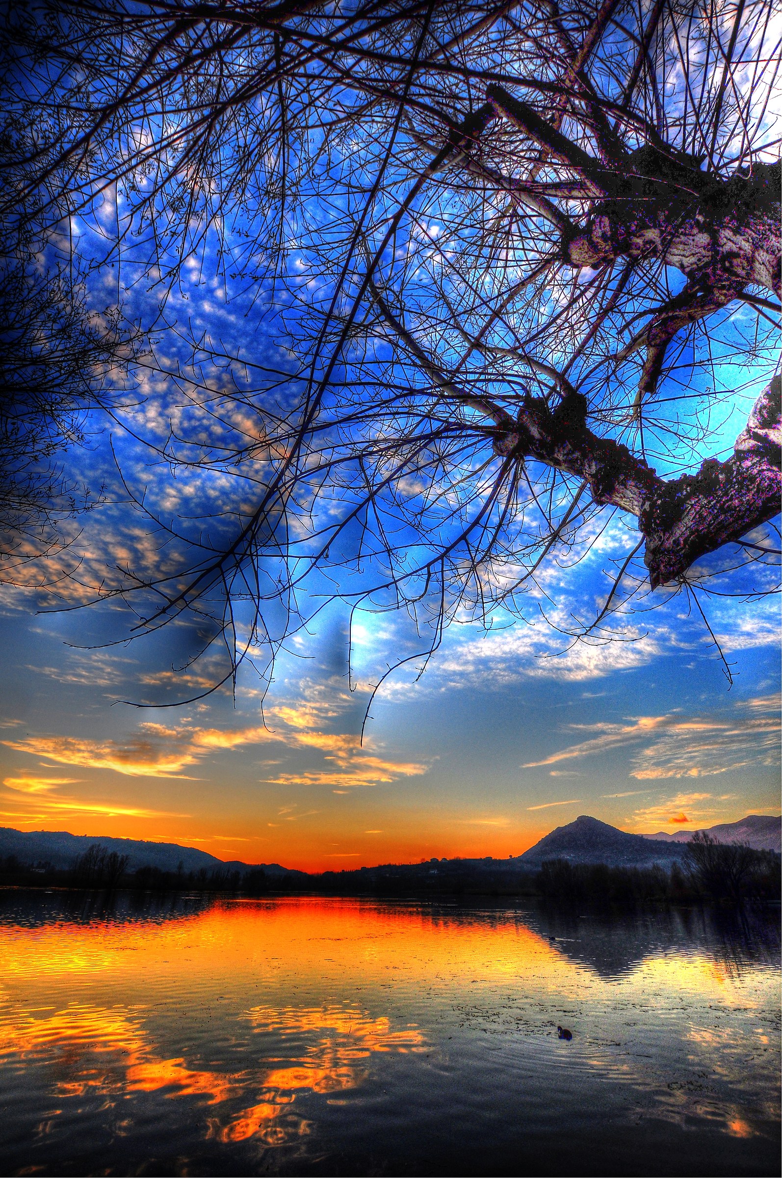 Uno Sguardo Verso Il Cielo