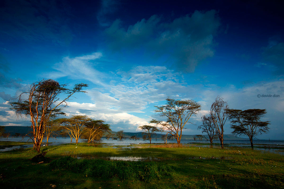 Lake Nakuru, Kenya