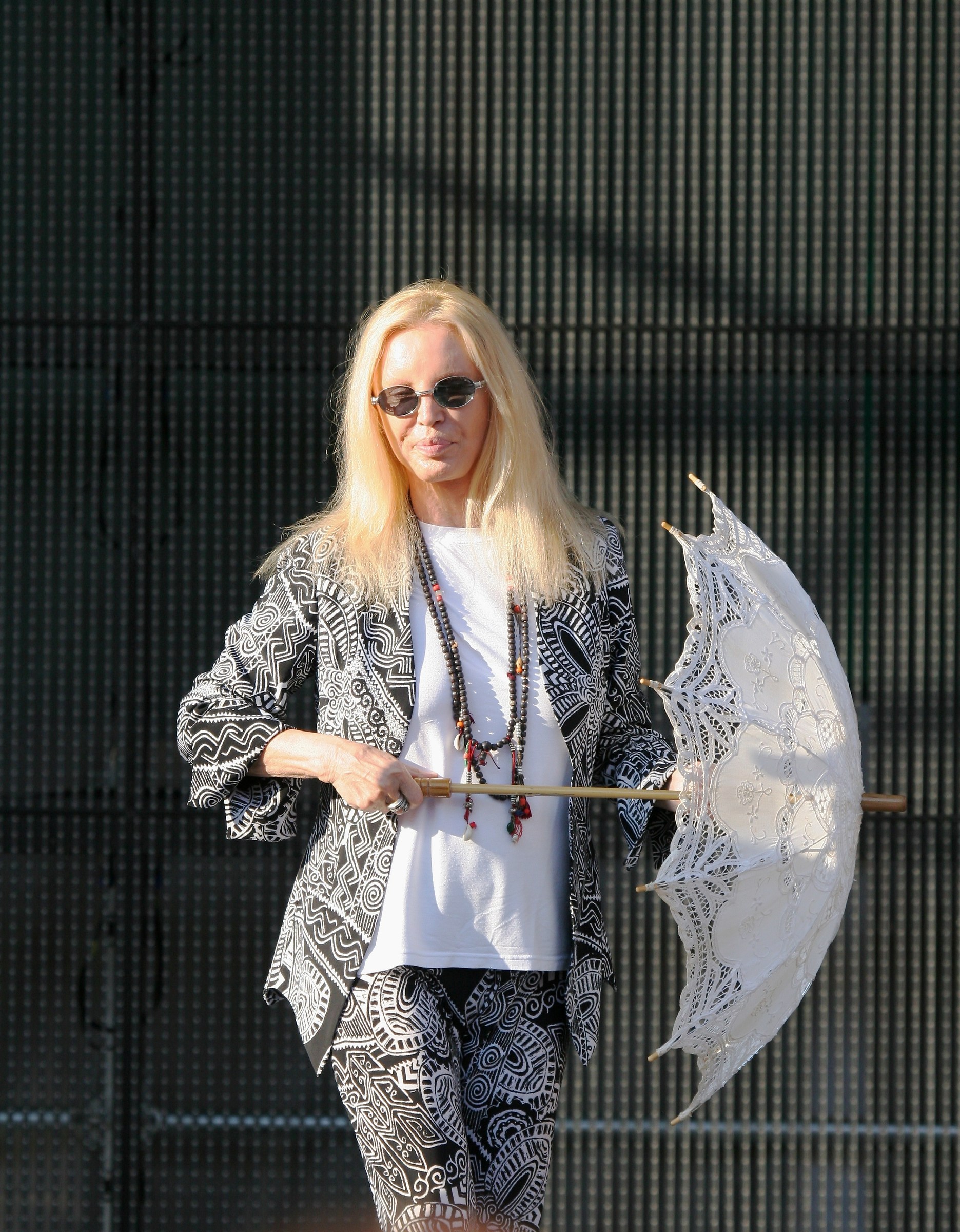 The steel Patty .....