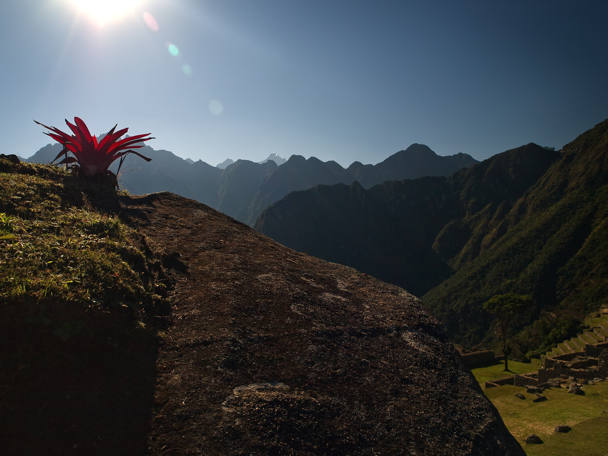Il Fiore Rosso del Machu Picchu