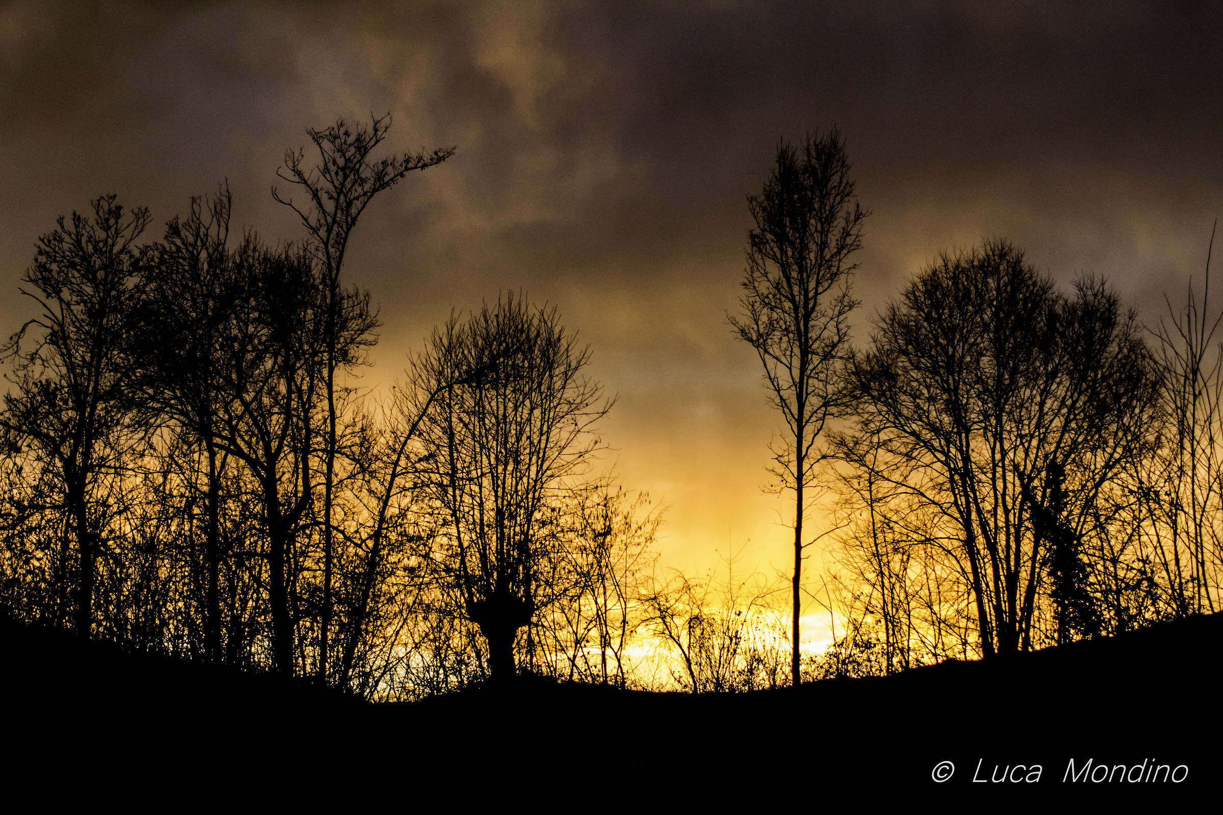 Silouette al tramonto