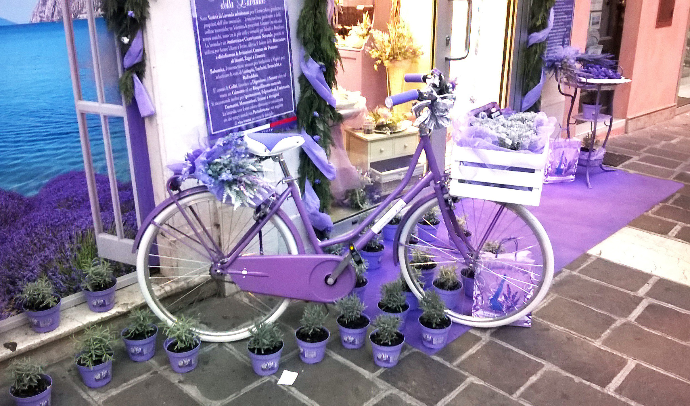Una bici al profumo di lavanda